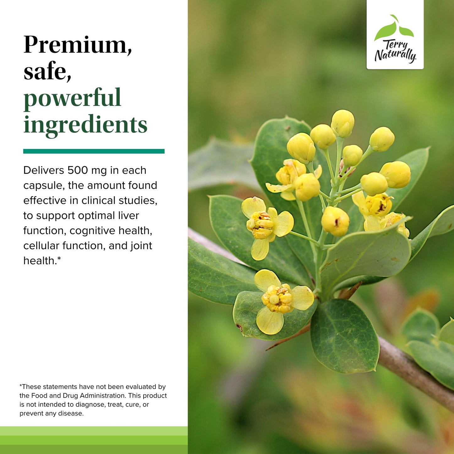 Terry Naturally Berberine - Dietary Supplement with Berberine - Liver Health Supplement for Metabolism Support - Joint Health Support for Men & Women - 60 Capsules - Medaid International