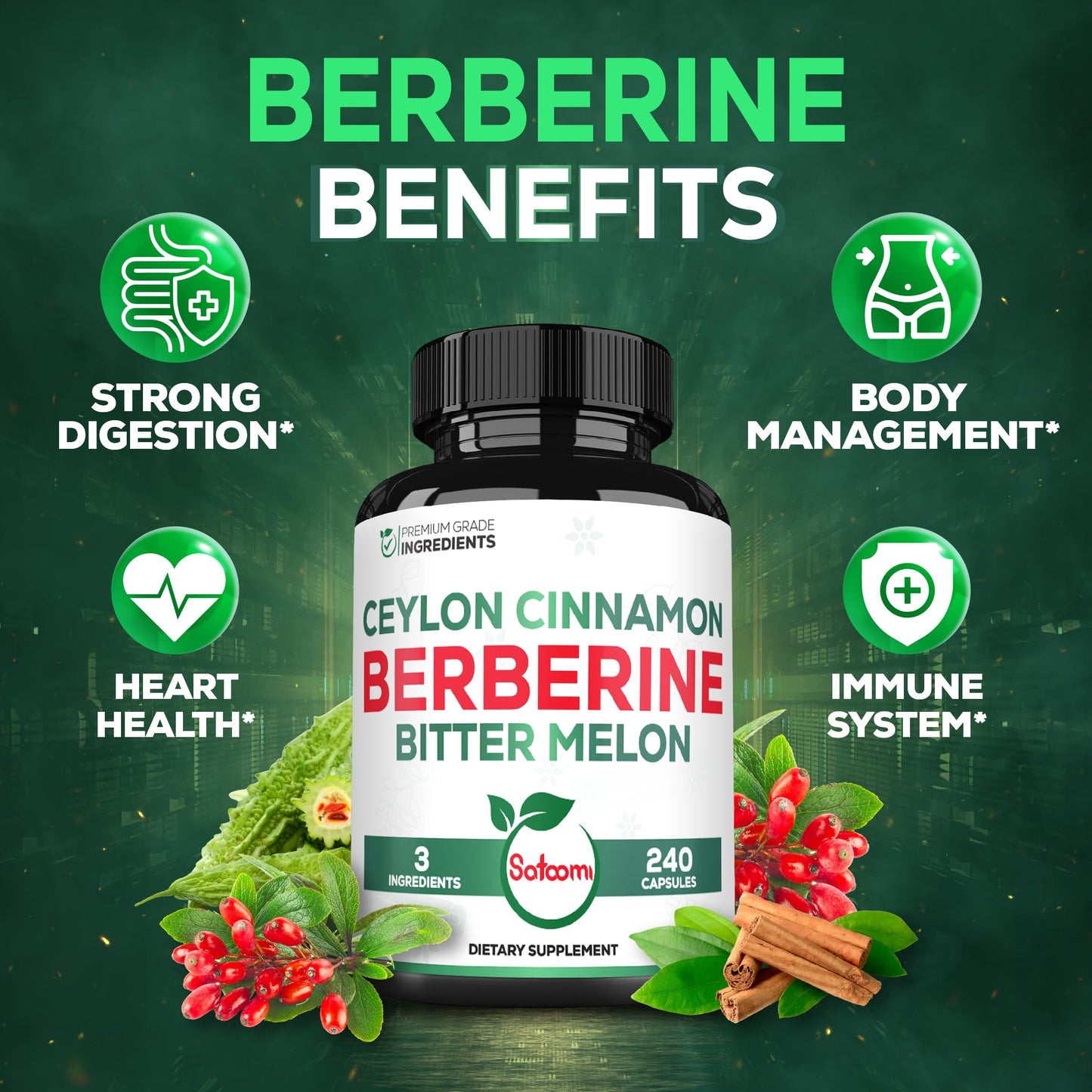 Berberine 1500mg Supplement with Organic Ceylon Cinnamon Bark & Bitter Melon - 240 Vegan Capsules for 80 Servings - Immune System, Heart Health, Body Management & Digestion Support - Medaid International