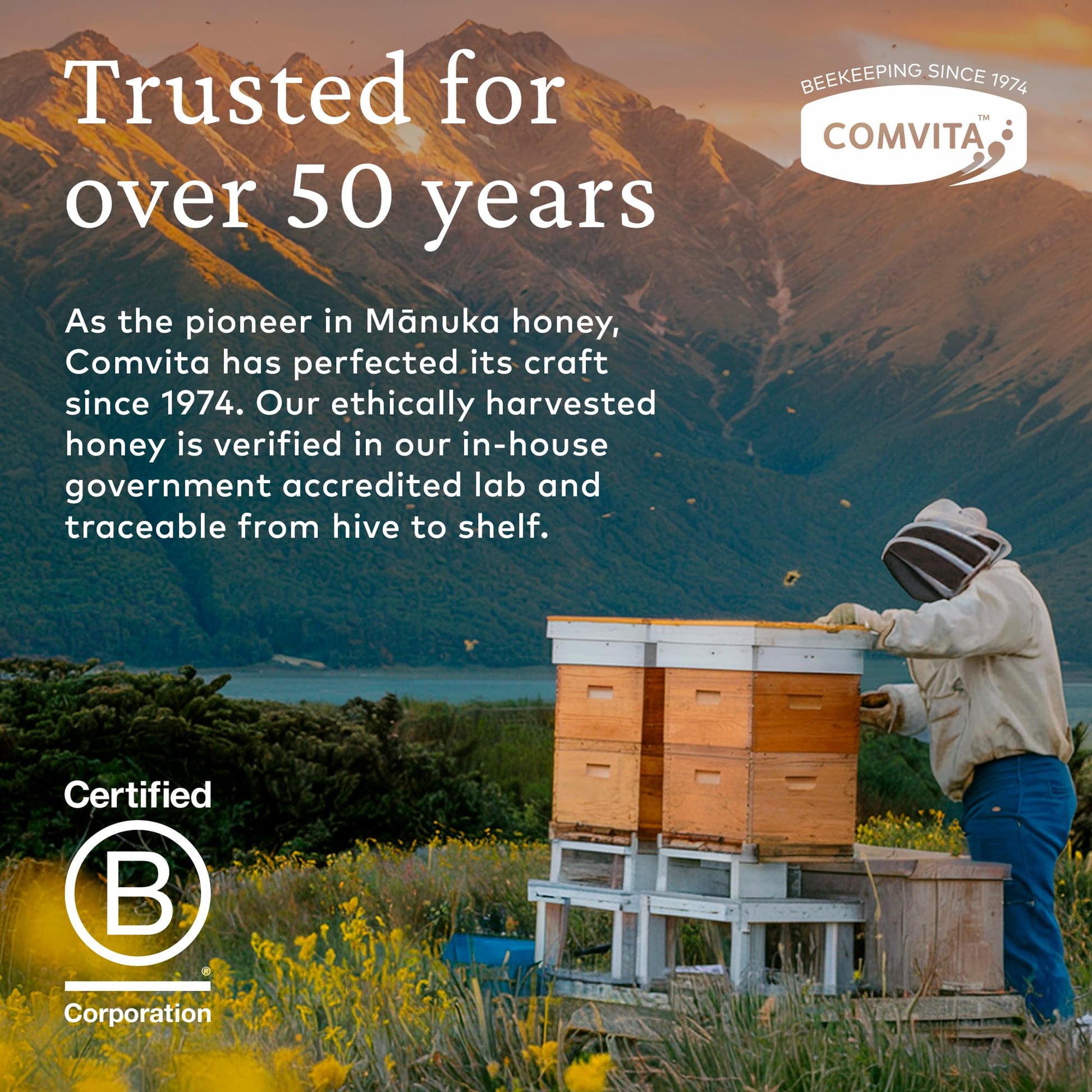 Comvita Manuka Honey UMF 5+ (MGO 83+) - Raw Manuka Honey New Zealand, Pure & Unpasteurized, Superfood for Immune Health, Use in Tea, Wild, Monofloral, Non-GMO - 500g (17.6 oz) - Medaid International