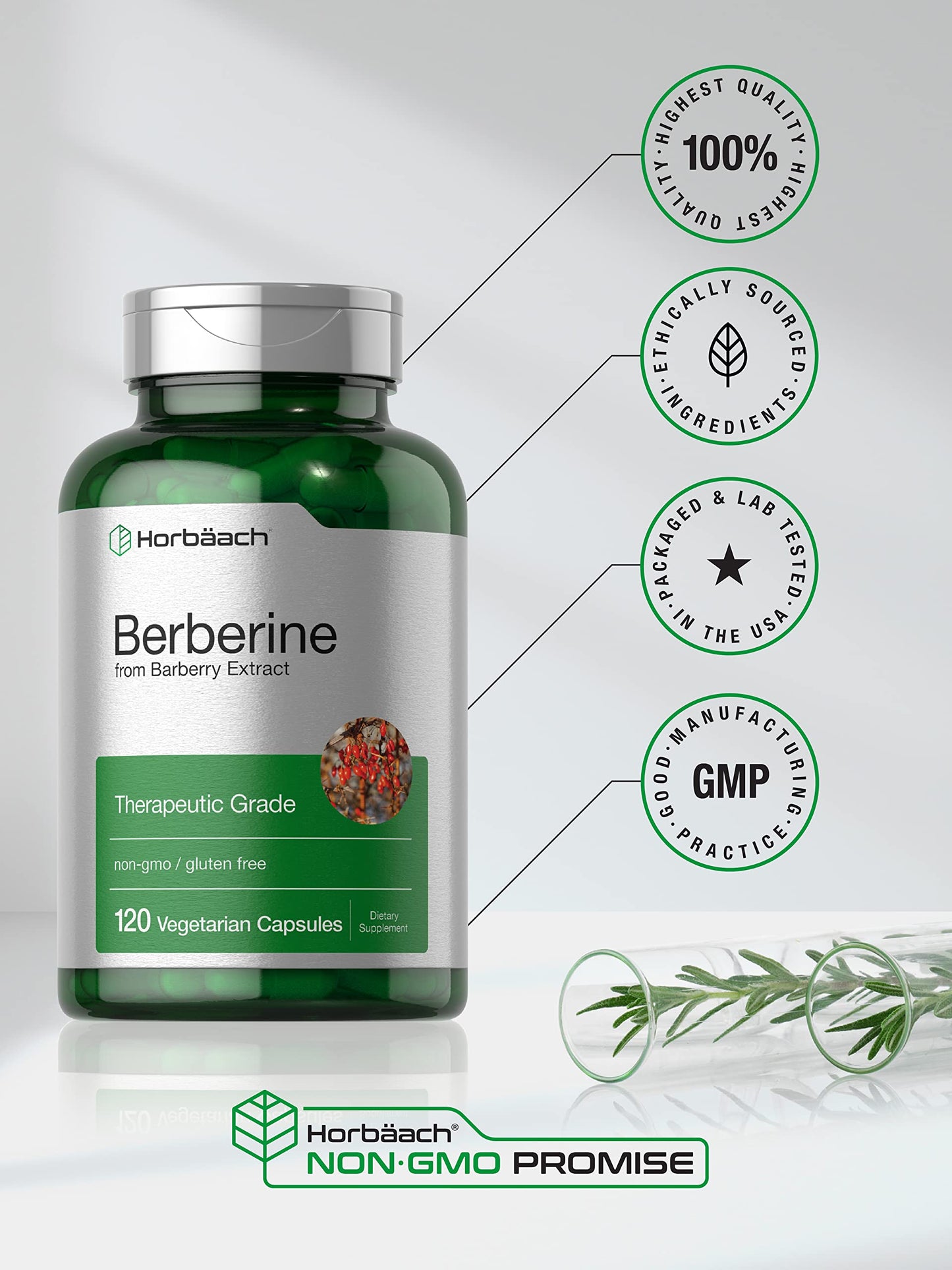 Horbaach Berberine HCL Supplement | 500mg | 120 Capsules | from Barberry Extract | Therapeutic Grade | Vegetarian, Non-GMO, Gluten Free - Medaid International