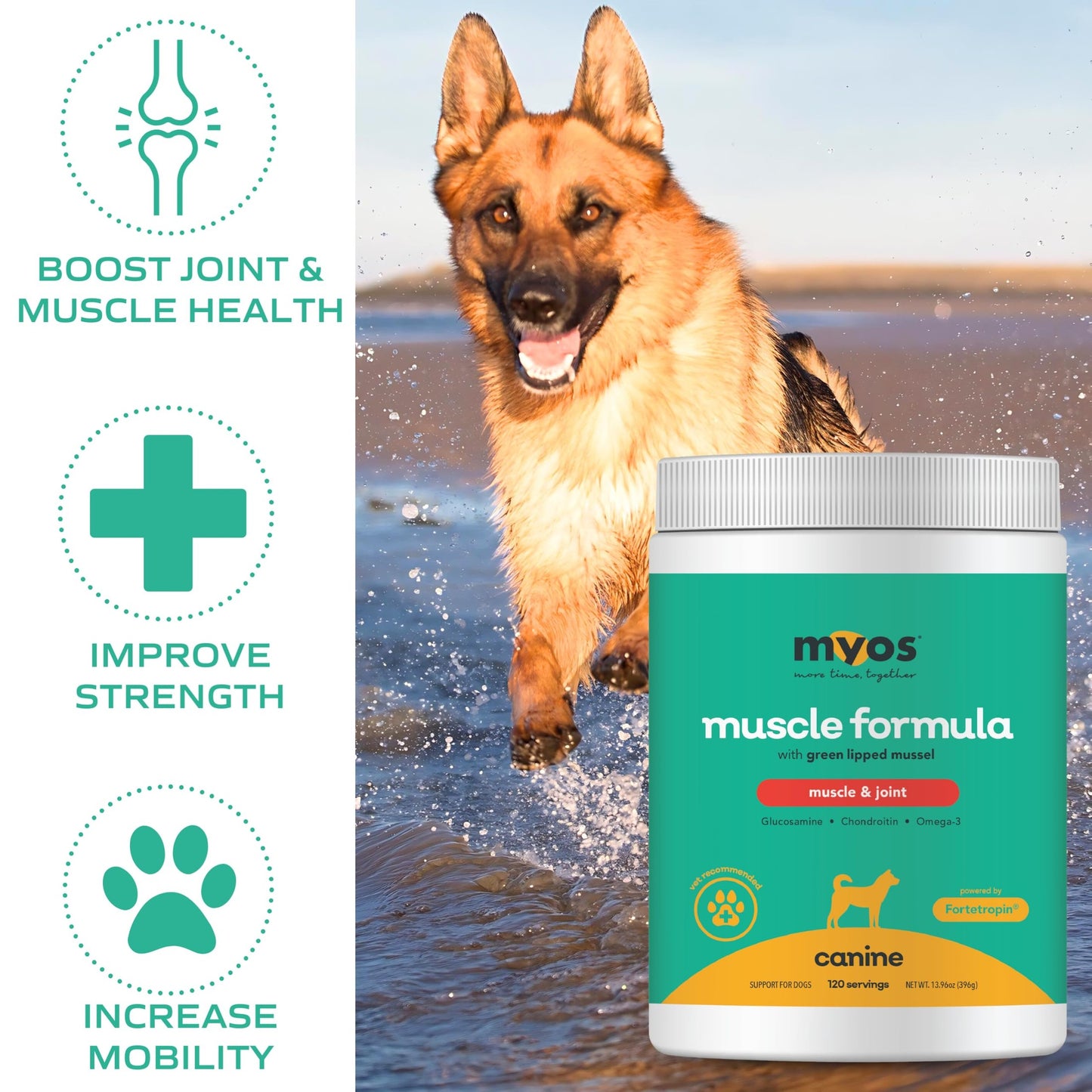 MYOS Muscle & Joint Powered by Fortetropin with Green Lipped Mussel (396 gr) - Medaid International