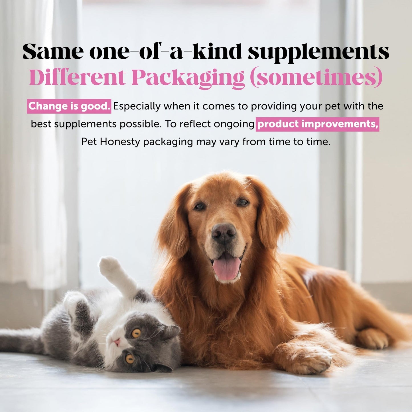 Senior Hemp Hip & Joint Supplement for Dogs - Dog Joint Supplement with Hemp Oil & Powder, Glucosamine, Collagen, MSM & Green Lipped Mussel - Mobility for Senior Dogs (Chicken 90)