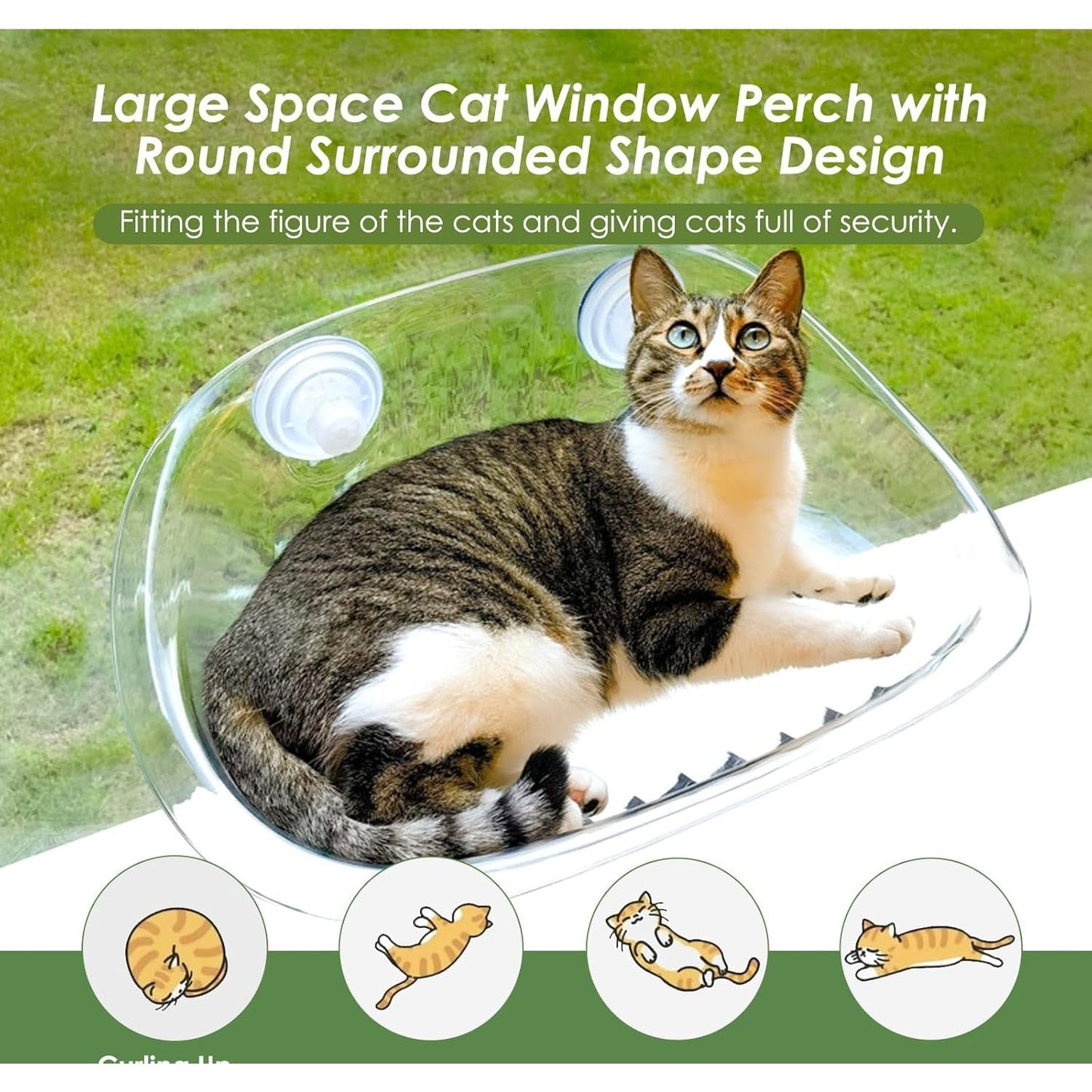 Cat Window Bed