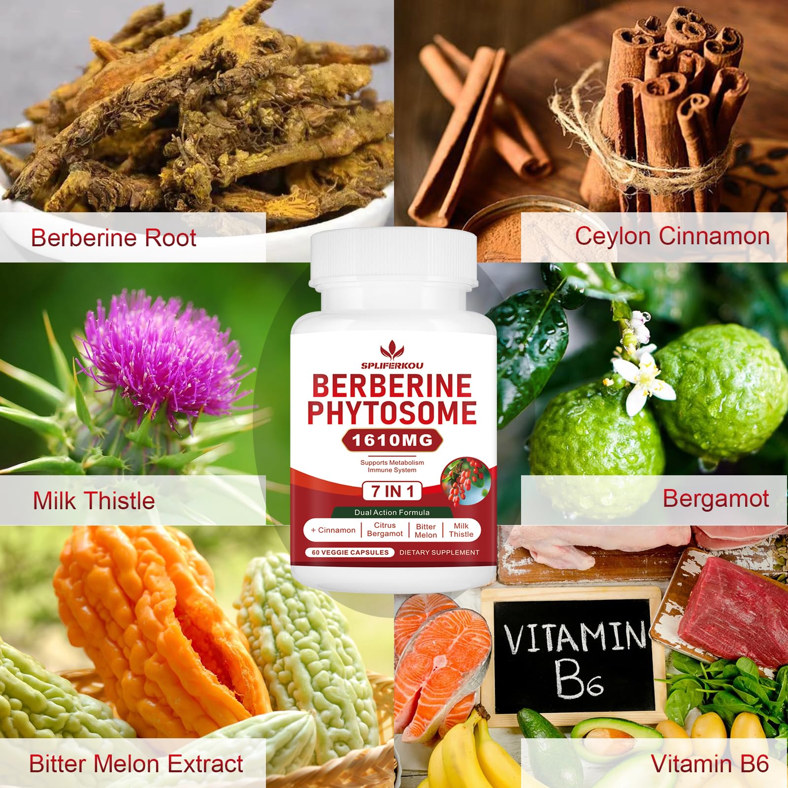 Spliferkou 7-in-1 Berberine Phytosome with Ceylon Cinnamon, Berberine Complex Supports Metabolic, Liver Function and Immune System, Non-GMO, Gluten-Free - 60 Capsules - Medaid International