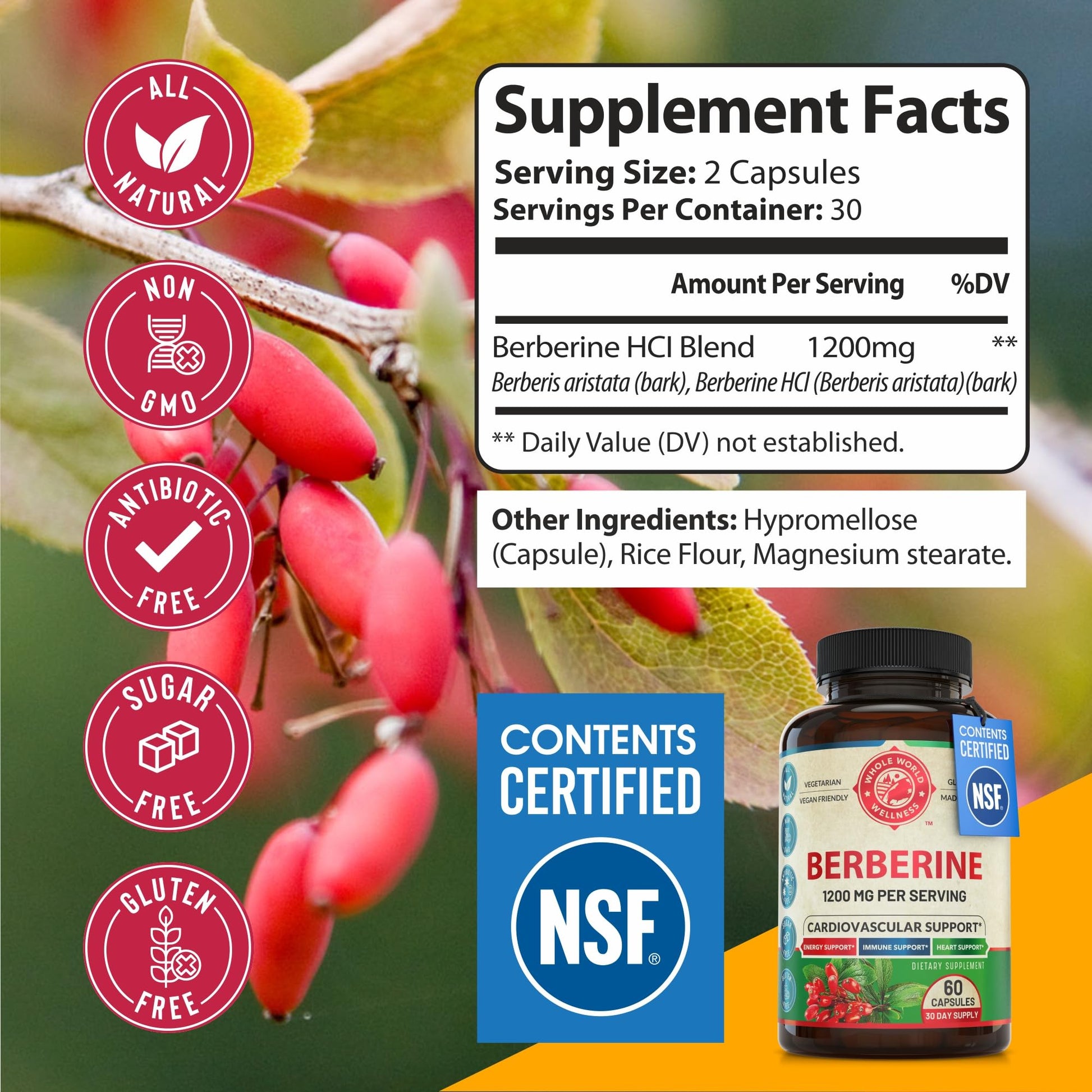 1200mg Berberine Herbal Health Capsules Support Heart and Cardiovascular Health, Help Maintain Healthy Cholesterol, Triglyceride, Blood Sugar Levels, Supports Digestion, Boosts Metabolism, 60 Capsules - Medaid International