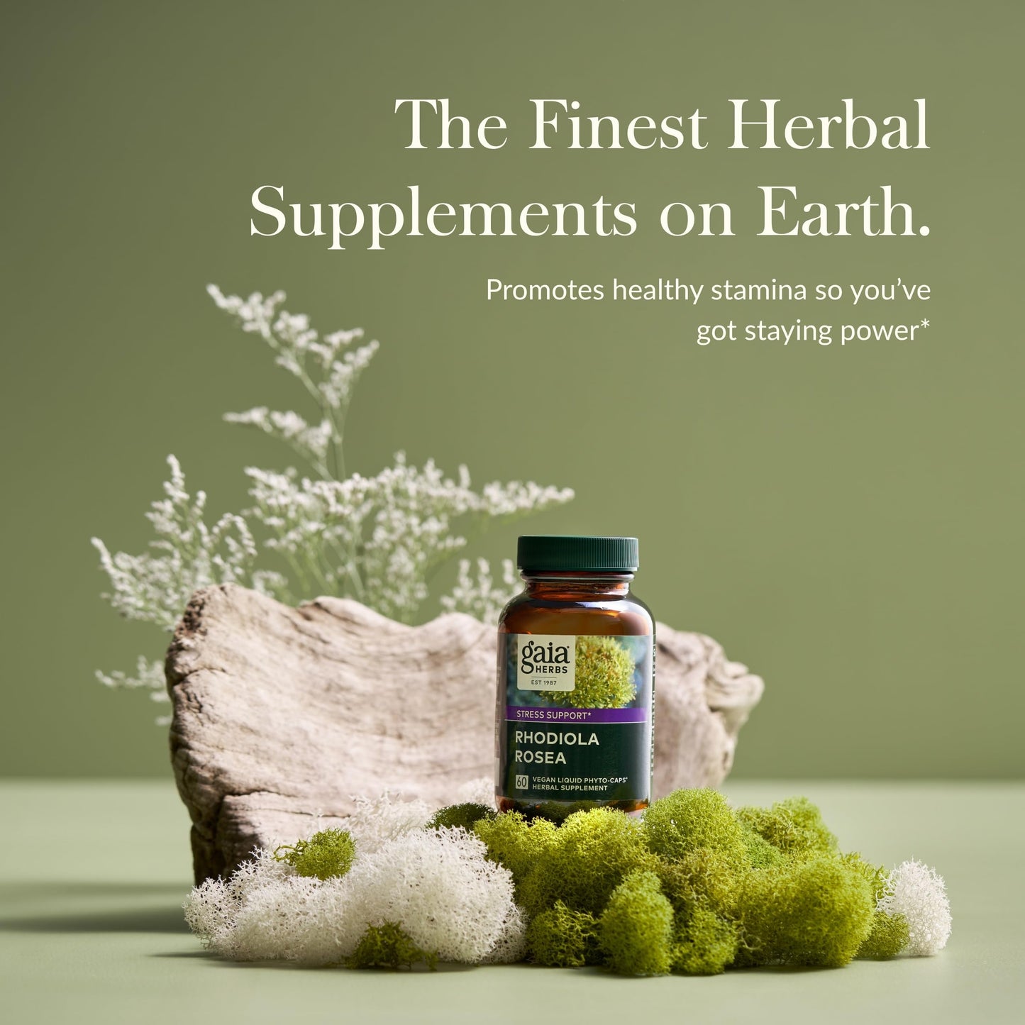 Gaia Herbs Rhodiola Rosea - Stress Support Supplement Traditionally for Supporting Healthy Stamina & Endurance - with Siberian Rhodiola Root Extract* - 60 Vegan Liquid Phyto-Capsules (30-Day Supply) - Medaid International