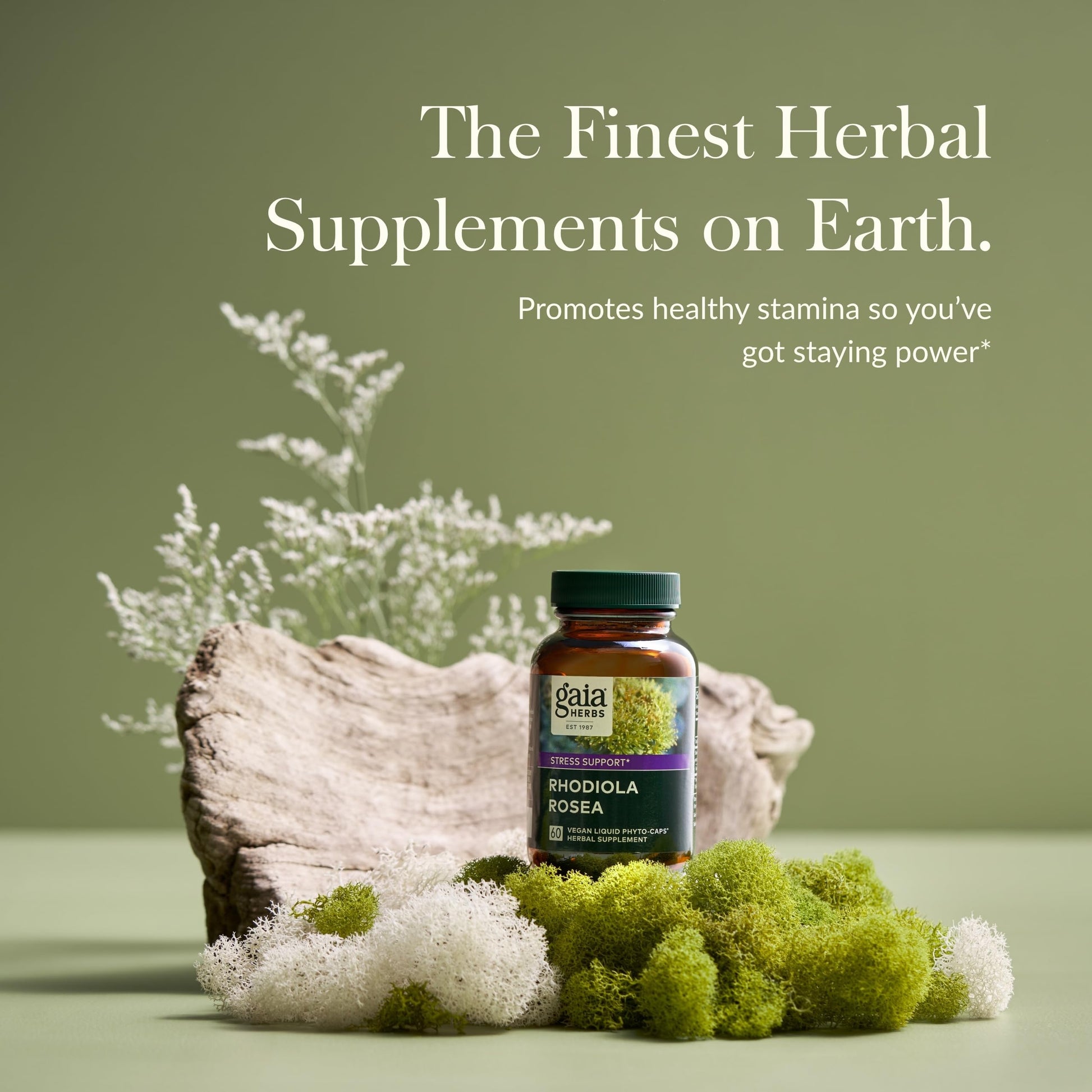 Gaia Herbs Rhodiola Rosea - Stress Support Supplement Traditionally for Supporting Healthy Stamina & Endurance - with Siberian Rhodiola Root Extract* - 60 Vegan Liquid Phyto-Capsules (30-Day Supply) - Medaid International
