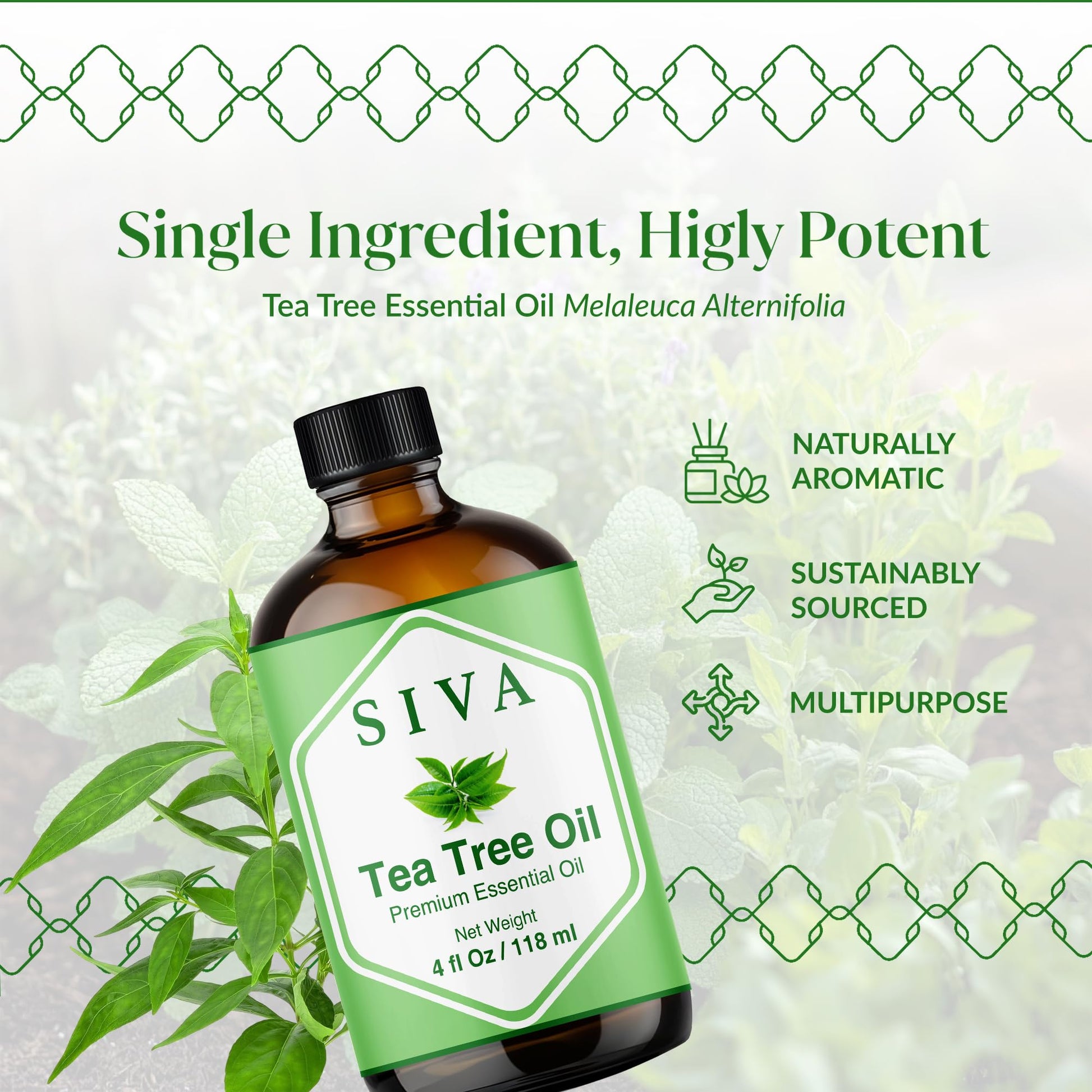 Siva Tea Tree Essential Oil - 4 Fl Oz – 100% Natural Tea Tree Oil - for Diffuser, Face, Skin Care, Aromatherapy, Hair Care, Scalp and Body Massage - with Dropper - Medaid International