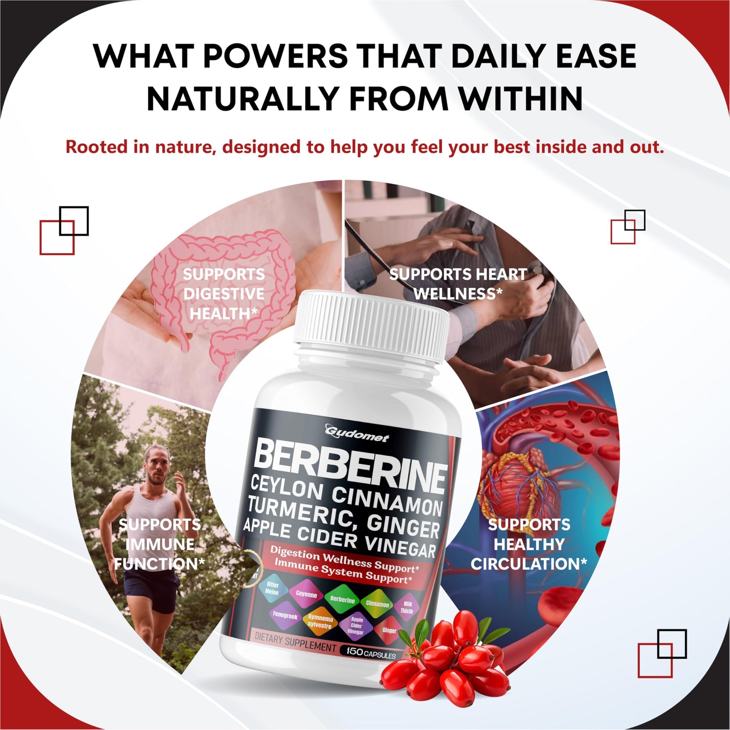 Berberine Ceylon Cinnamon - All-in-1 Supplement with Bitter Melon AVG Gymnema sylvestre Turmeric Milk Thistle Licorice Holy Basil Fenugreek Banaba - Medaid International