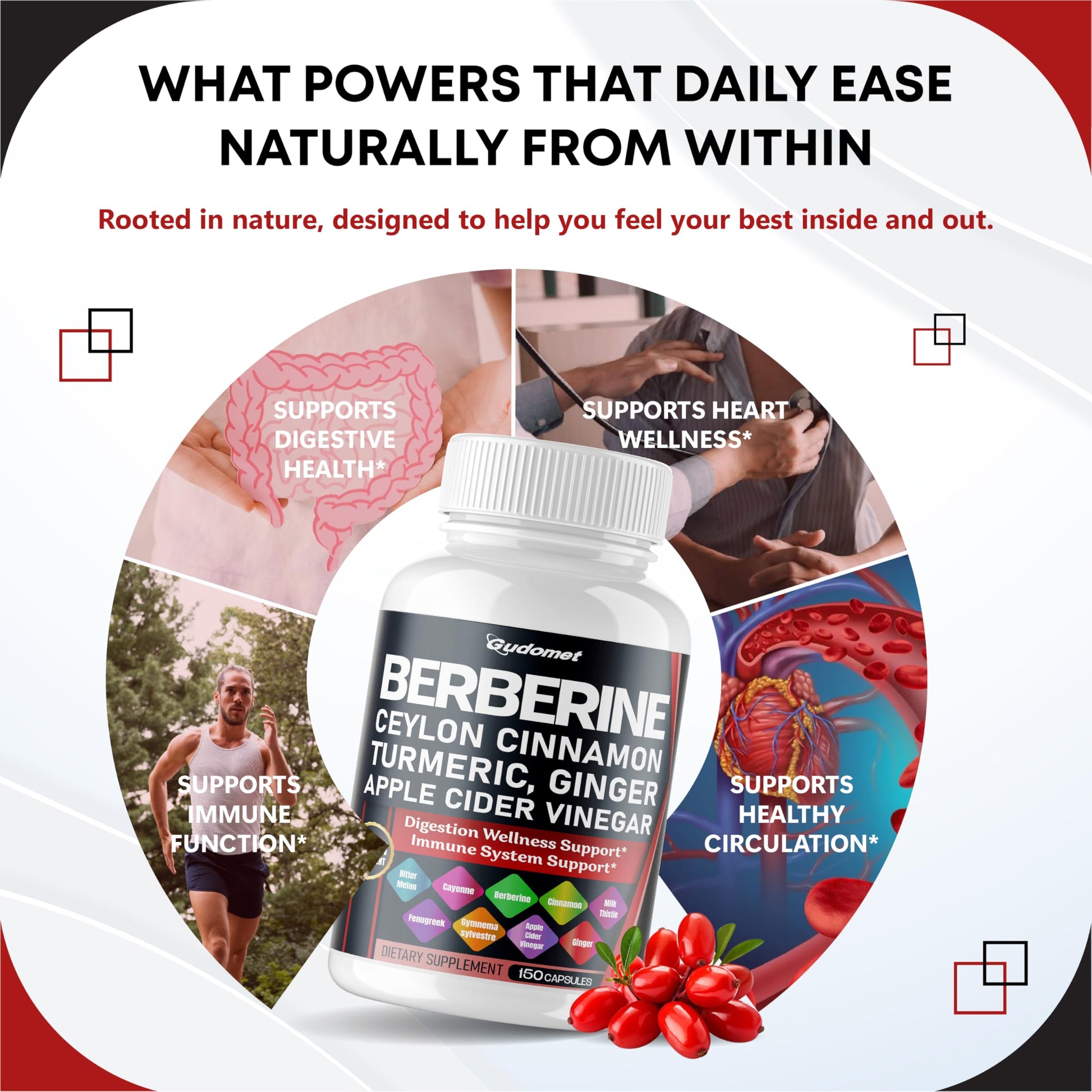 Berberine Ceylon Cinnamon - All-in-1 Supplement with Bitter Melon AVG Gymnema sylvestre Turmeric Milk Thistle Licorice Holy Basil Fenugreek Banaba - Medaid International