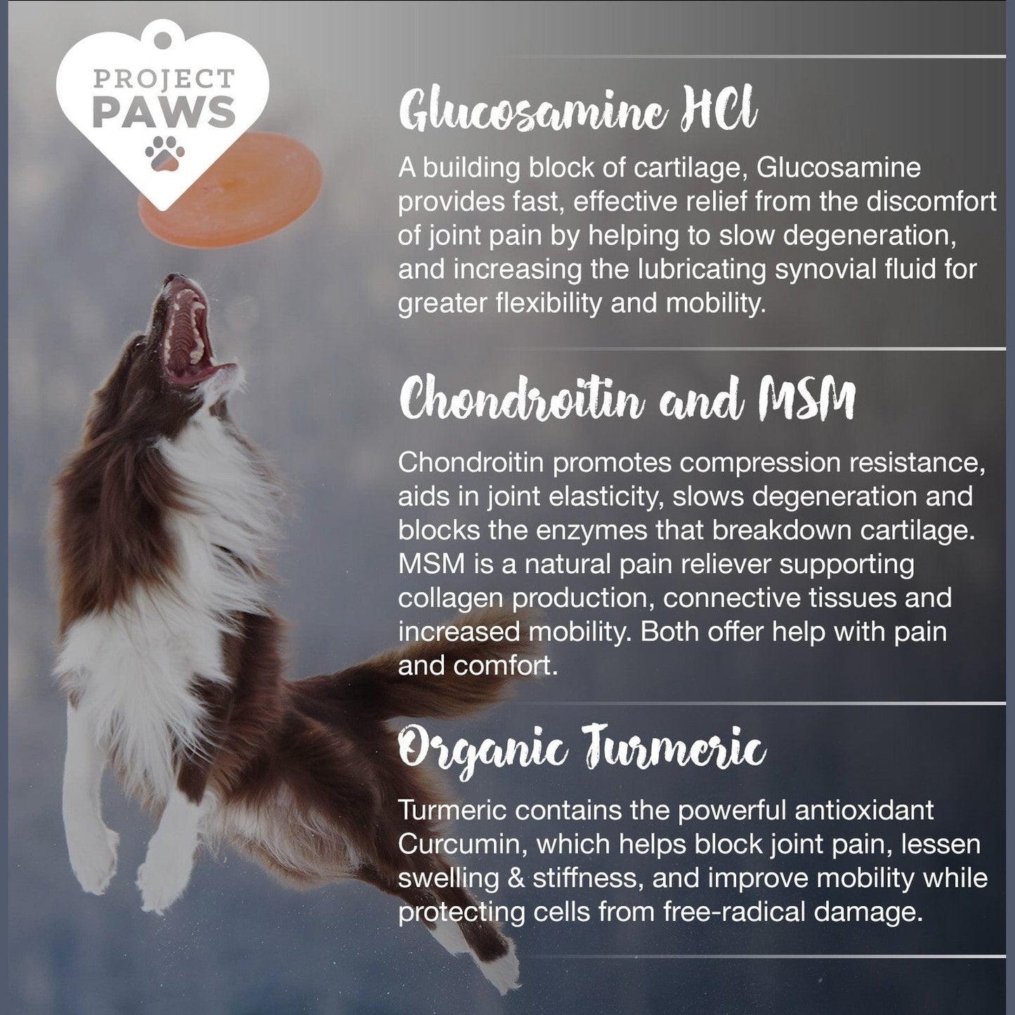 Project Paws Hip and Joint Supplement for Dogs - Dog Glucosamine Chews with MSM, Chondroitin and Organic Turmeric - 120 CT