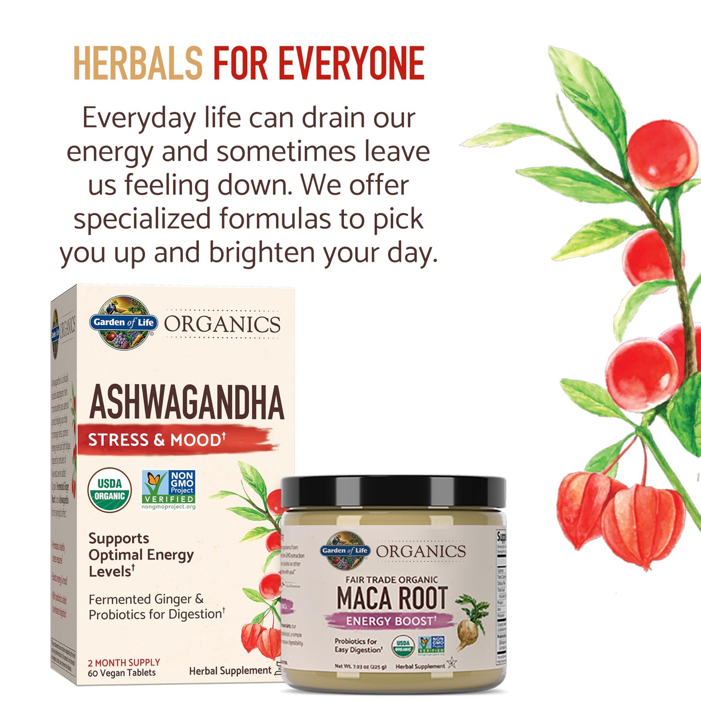 Garden of Life Organics Fair Trade Gelatinized Peruvian Maca Root Energy Boost 7.93 oz (225g) Powder with Probiotics, Certified Organic, Non-GMO, Vegan & Gluten Free Herbal Supplements - Medaid International