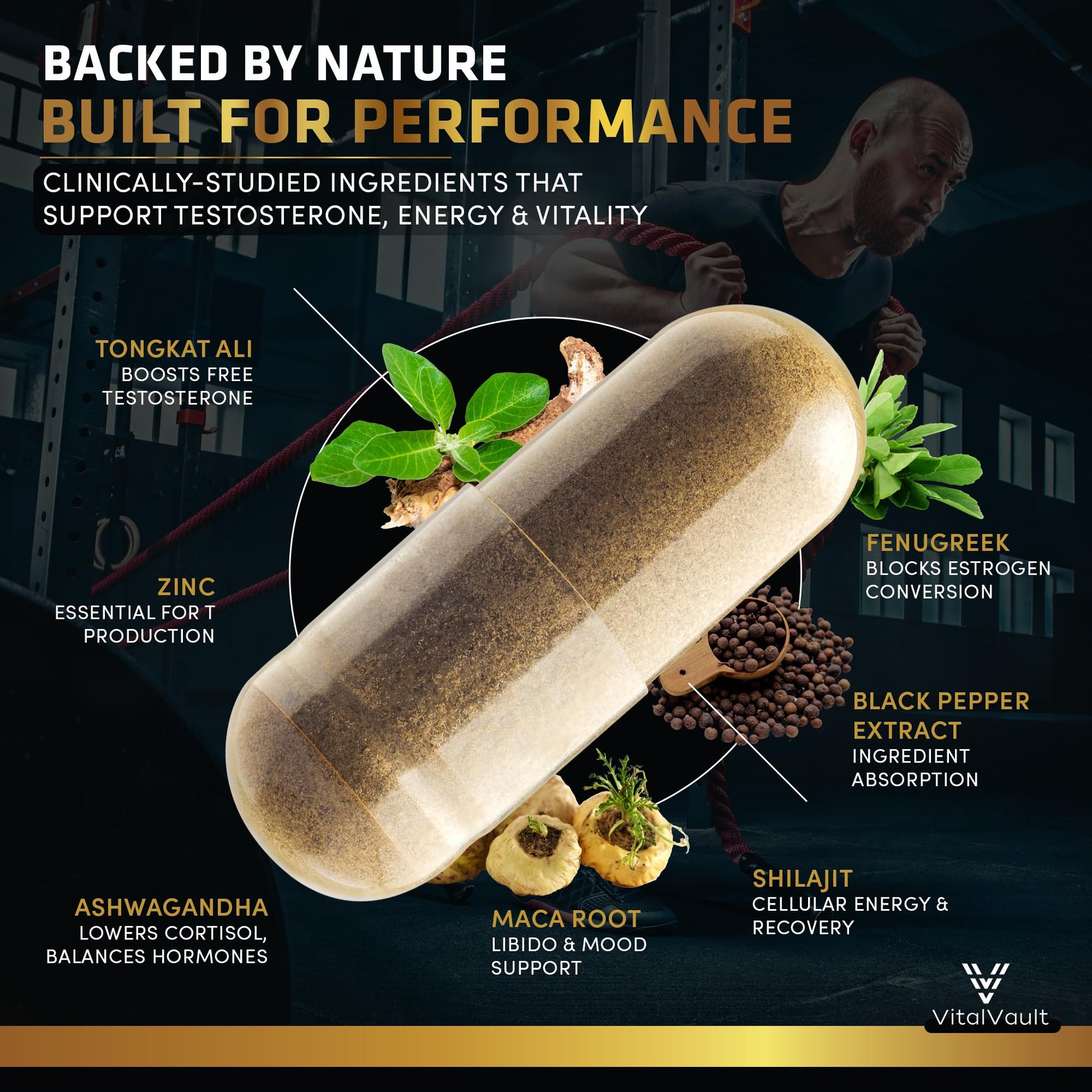 VitalVault 7-in-1 Testosterone & Strength Support - Natural Supplement for Men with Ashwaganda, Shilajit, Fenugreek, Maca Root, Tongkat Ali, Black Pepper & Zinc - 1 Month Supply (60 caps) - Medaid International