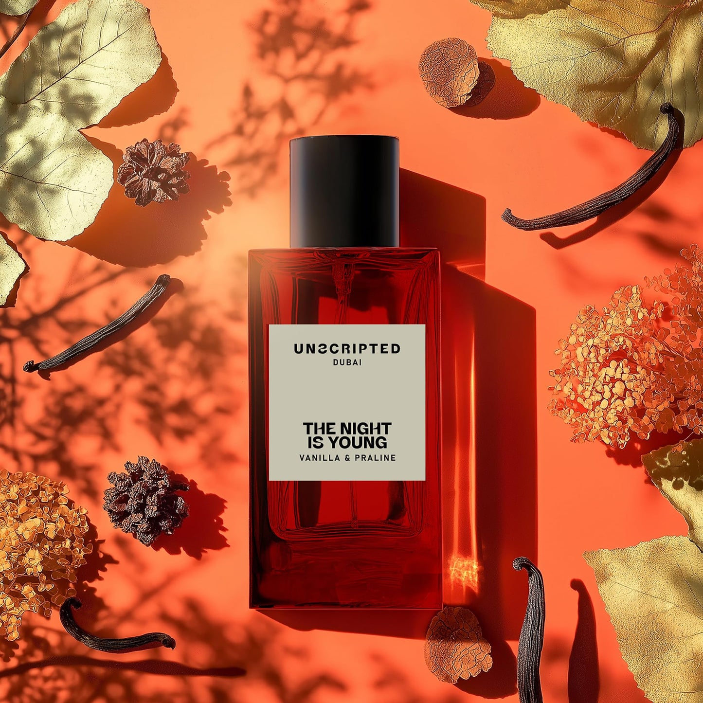 Unscripted. The Night Is Young - Bold, Long-Lasting Perfume For Men And Women - Spicy-Sweet Women Perfume with Notes of Cognac and Vanilla - 3.4 oz - Medaid International