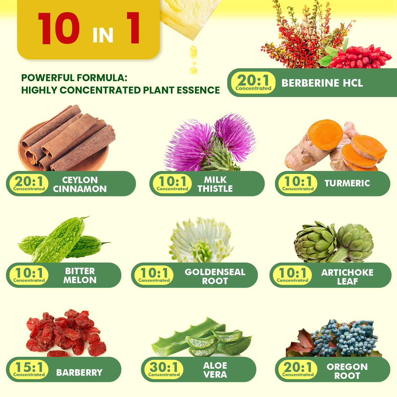 Berberine Supplement with Ceylon Cinnamon - Berberine Liquid Drops with Turmeric Curcumin, Ceylon Cinnamon, Bitter Melon, Berberine Phytosome for Digestion System, Immune Health Support -Vegetarian - Medaid International