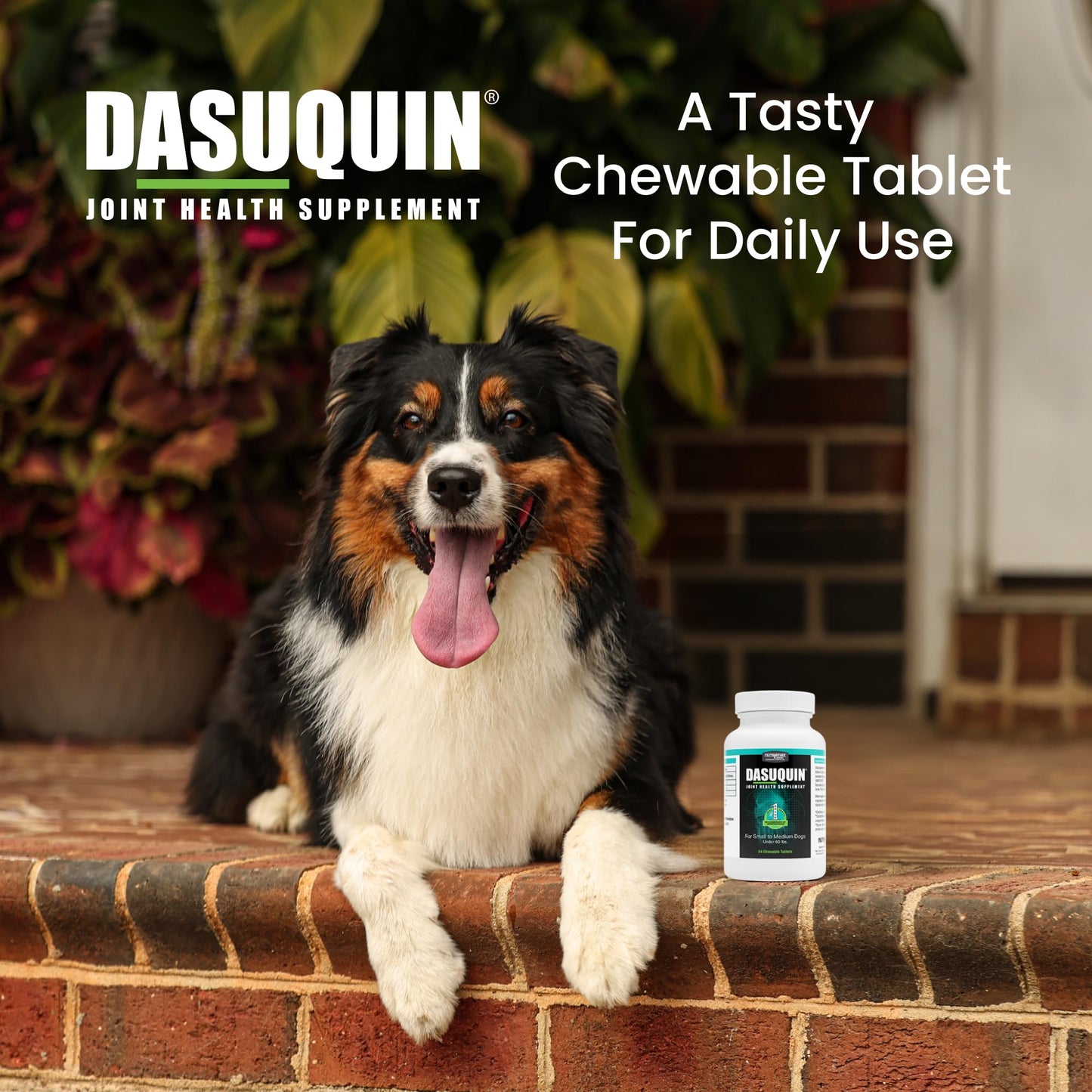 Nutramax Dasuquin for Small to Medium Dogs, Joint Health Supplement, Contains Glucosamine for Dogs, Plus Chondroitin, ASU and More, Supports Healthy Joints, Chewable Tablets, 84 Count
