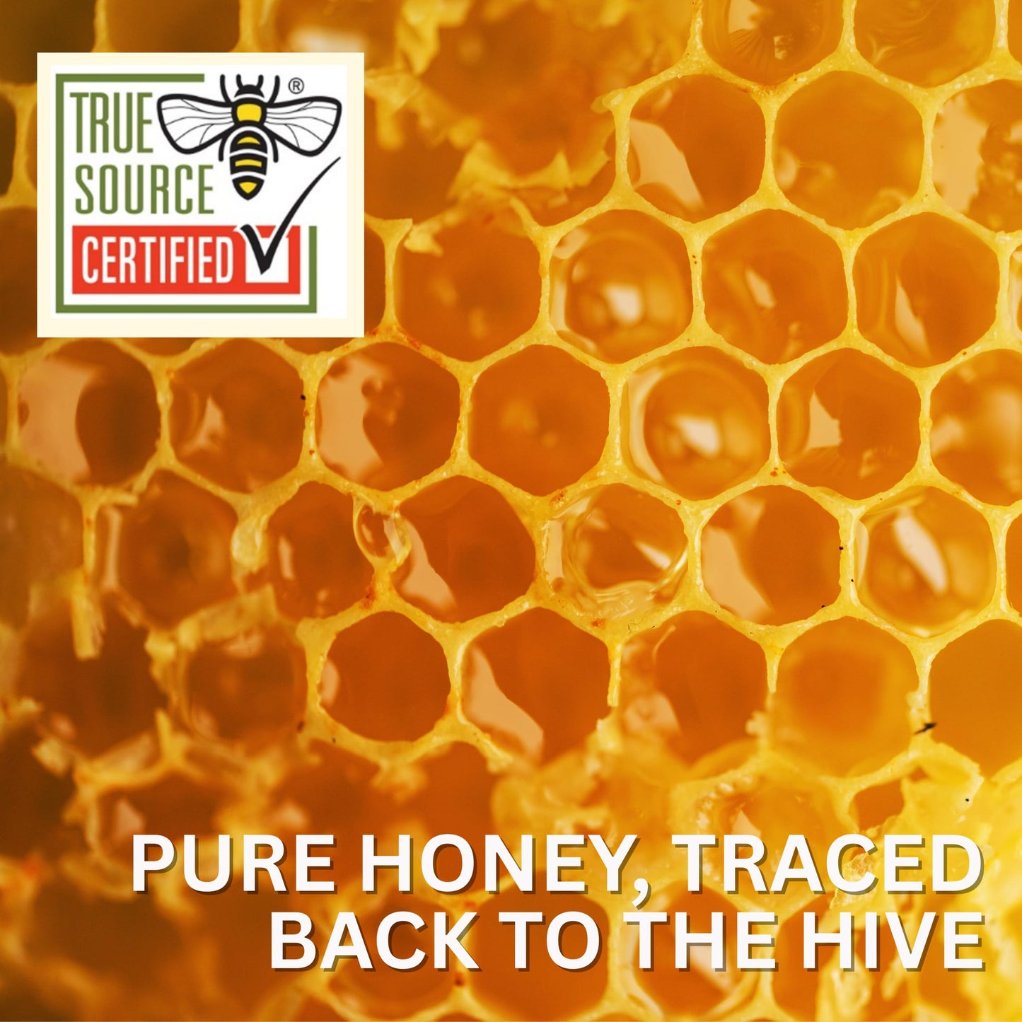 Thrifty Bee Honey, 80 Ounce (5 LB) Large Bulk Honey Jug - Medaid International
