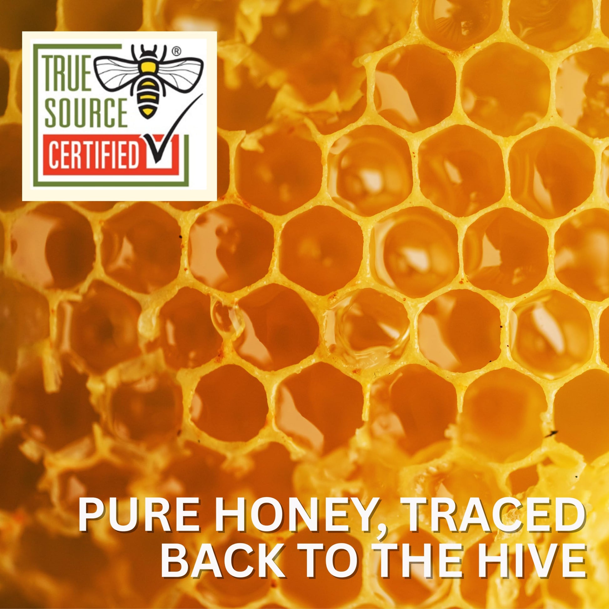 Thrifty Bee Honey, 80 Ounce (5 LB) Large Bulk Honey Jug - Medaid International