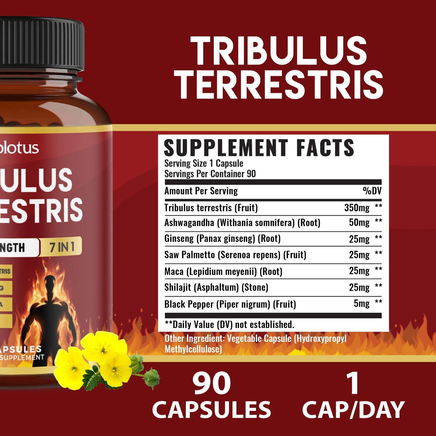 Tribulus Terrestris Capsules with Ashwagndha, Panax Ginseng, Saw Palmetto, Maca, Shilajit - 90 Capsules - 3 Months Supply - Medaid International