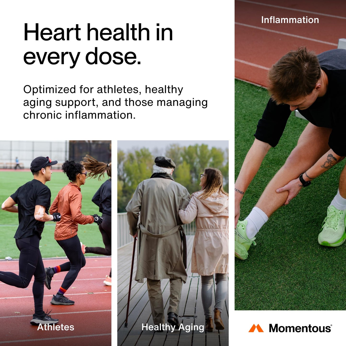 Momentous Omega-3 Fish Oil - High-Potency EPA & DHA Supplement for Men & Women - Supports Heart, Joint, & Brain Health - NSF Certified for Sport - Non-GMO - Gluten-Free - 1,600 mg - 30 Servings - Medaid International