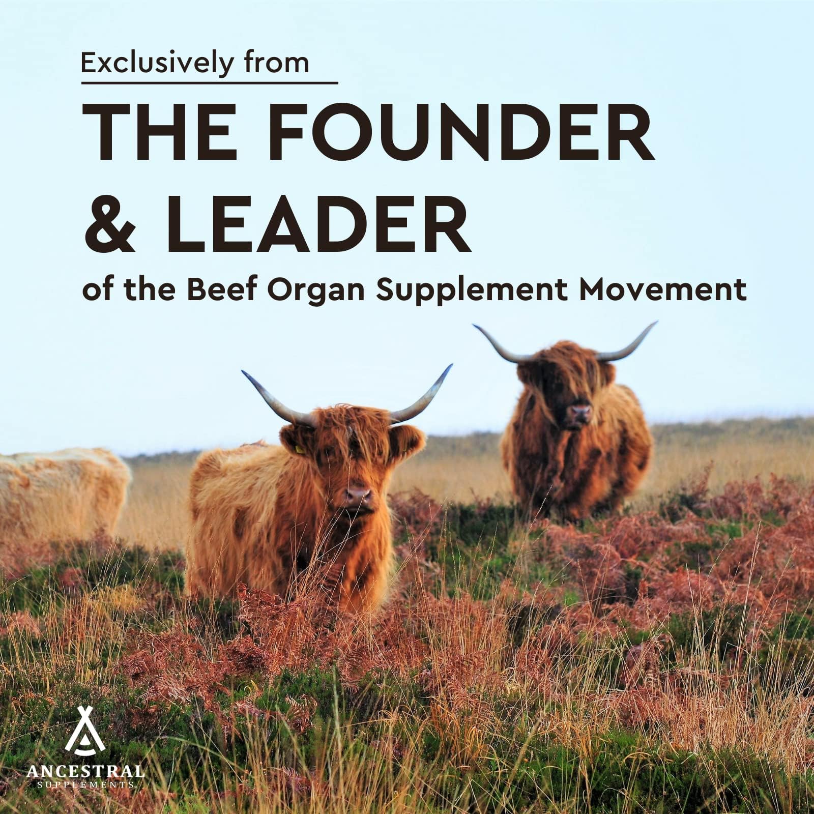 Ancestral Supplements Grass Fed Beef Heart Supplement, 3300mg, CoQ10 Supplement Supports Heart and Mitochondrial Health, Non-GMO, 180 Capsules - Medaid International