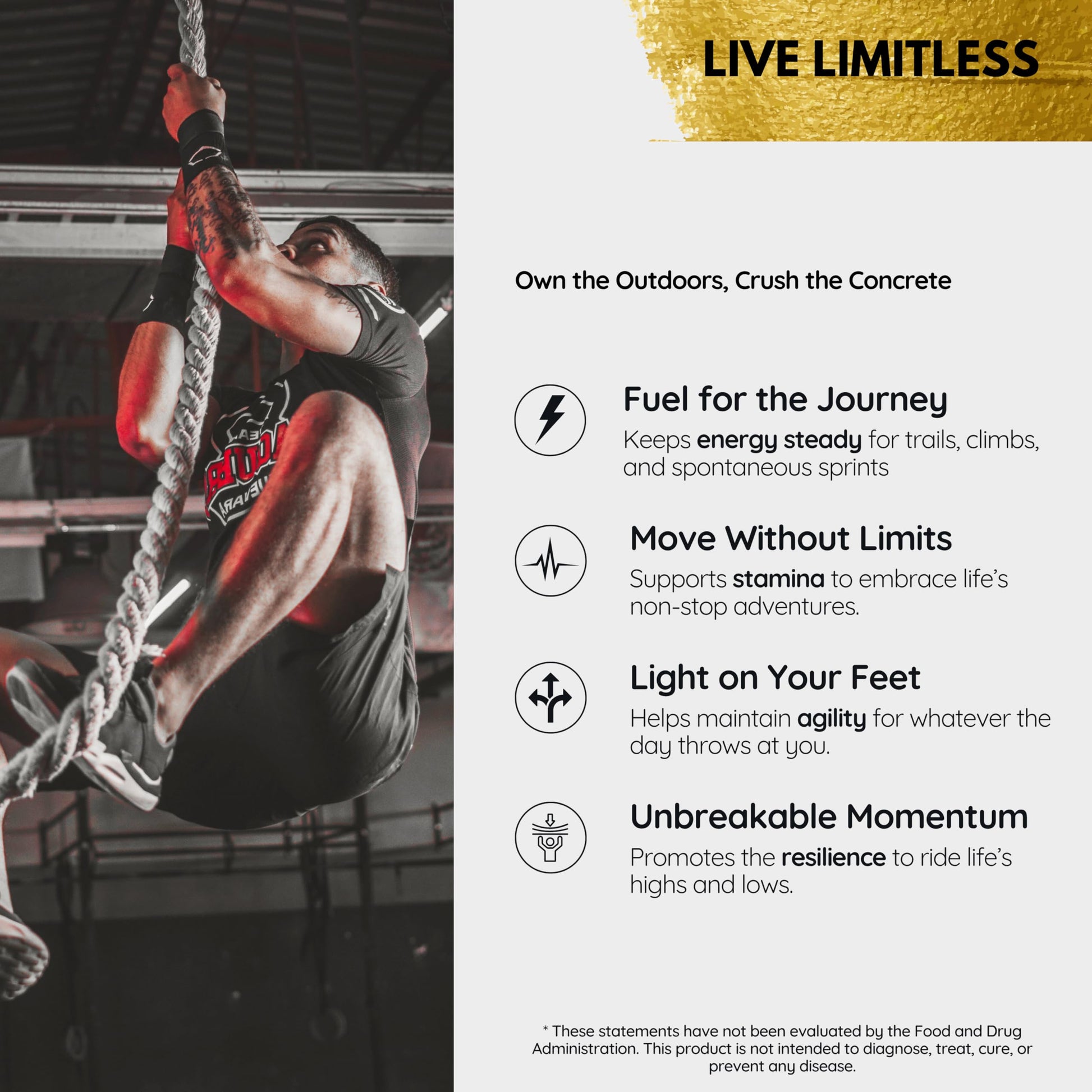 NutraHerds - Men’s Vitality & Testosterone Support | Tongkat Ali + Fadogia Agrestis + Ashwagandha + Shilajit & More | Energy • Stamina • Focus | 2 Capsule Daily | Vegan • Non-GMO • 3rd-Party Tested - Medaid International