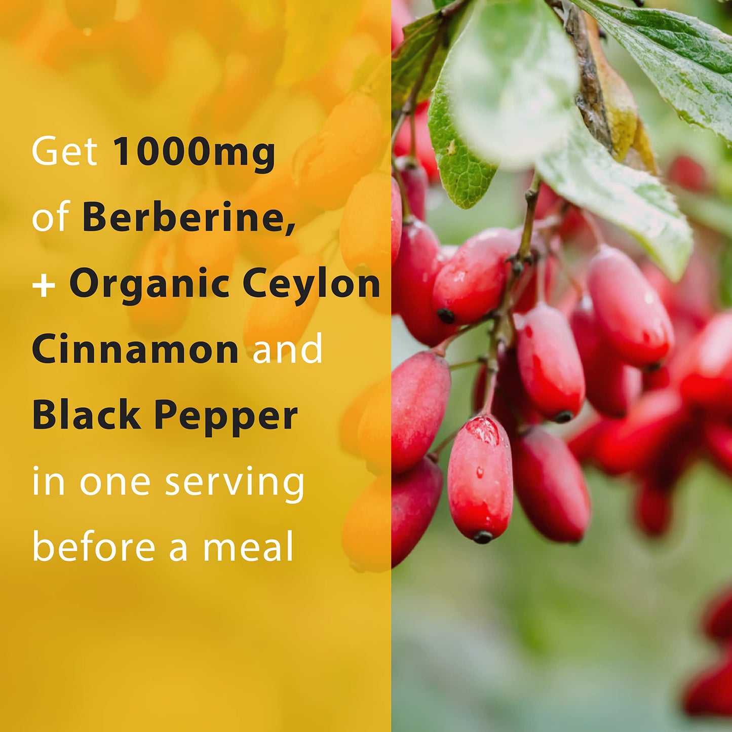Thomas' all-natural Remedies Berberine 500mg (1000mg Per Serving)- 120 Vegan Capsules- with Ceylon Cinnamon & Black Pepper- Supports Healthy Immune Function & Overall Wellness - Medaid International