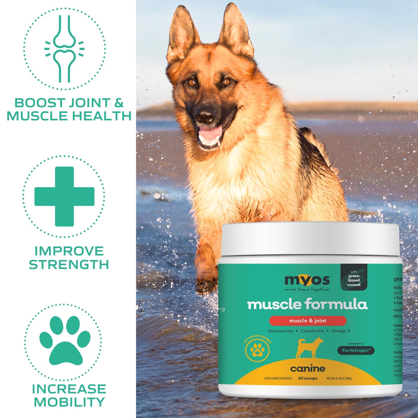 MYOS Muscle & Joint Powered by Fortetropin with Green Lipped Mussel (198 gr) - Medaid International