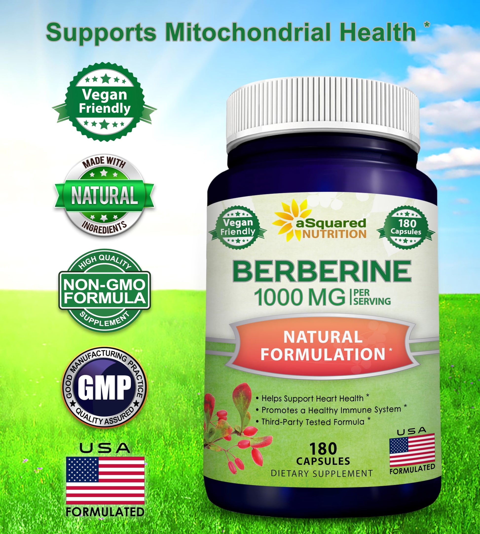 aSquared Nutrition Pure Berberine 1000mg Supplement - 180 Veggie Capsules, Natural Berberine Hydrochloride HCL Plus, Max Strength 1000 mg (2X 500mg), Potent Berberine Vegan Extract - Medaid International