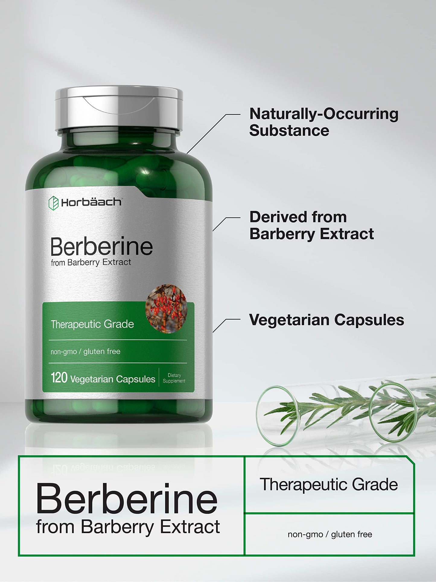 Horbaach Berberine HCL Supplement | 500mg | 120 Capsules | from Barberry Extract | Therapeutic Grade | Vegetarian, Non-GMO, Gluten Free - Medaid International