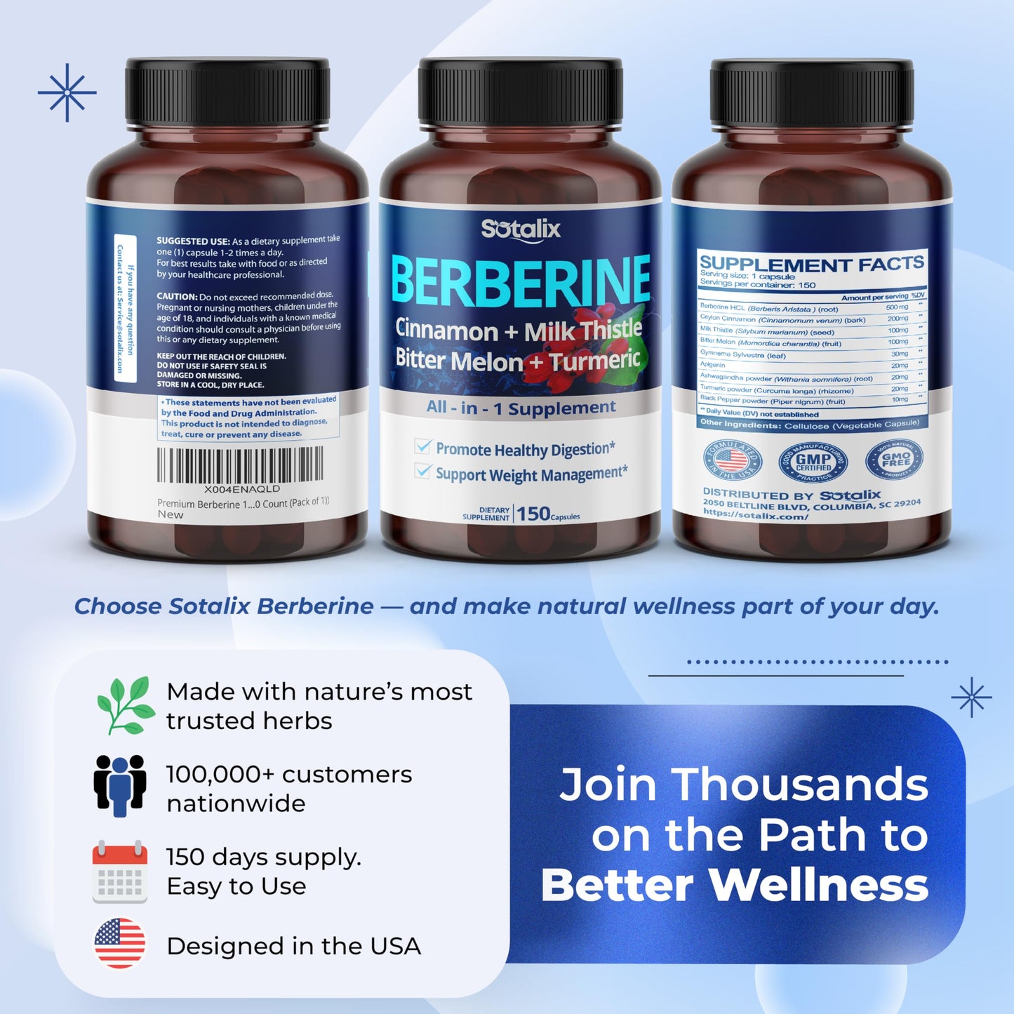 Premium Berberine Supplement with Ceylon Cinnamon, Bitter Melon, Milk Thistle - 150 Day Supply (150 Count (Pack of 1)) - Medaid International