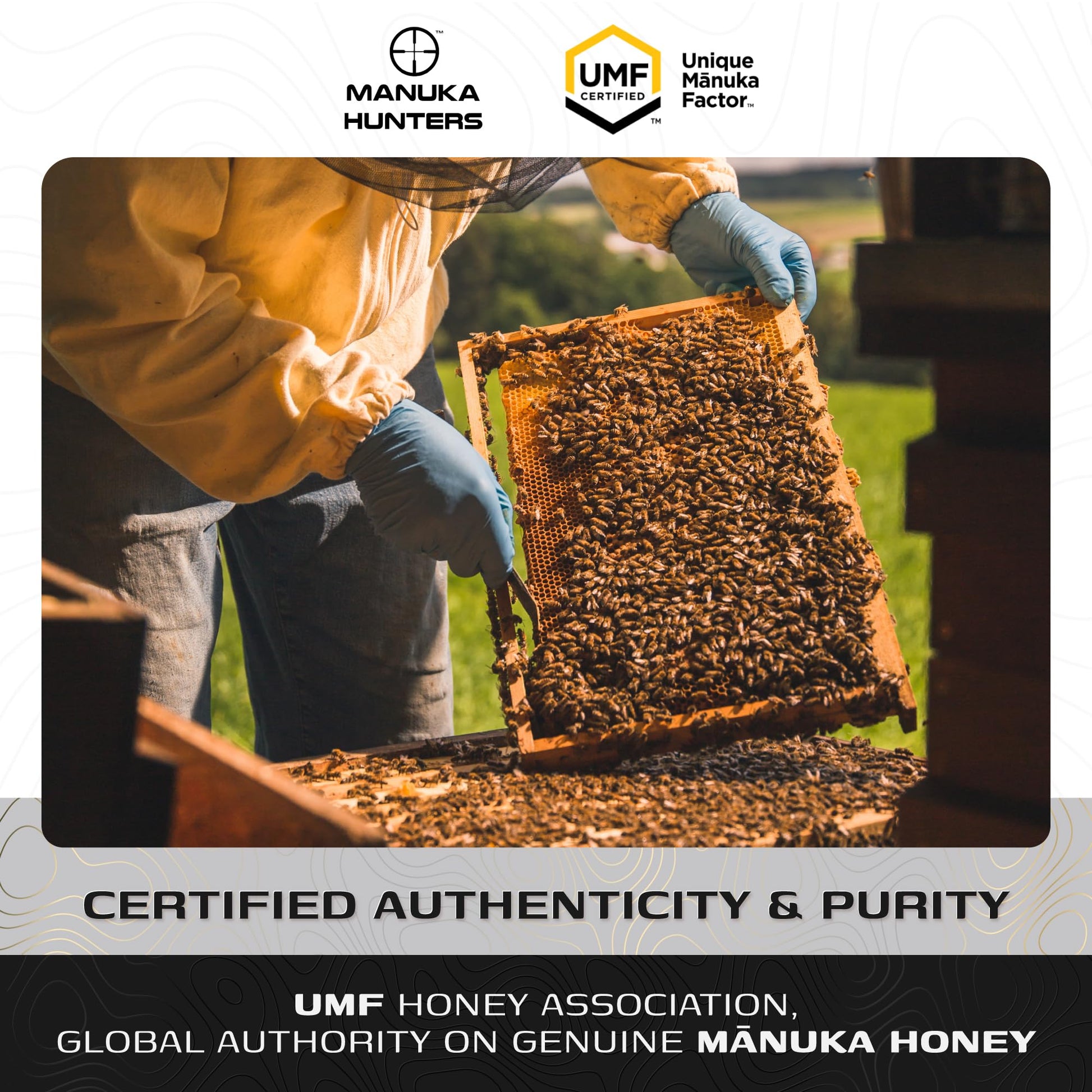 Manuka Hunters UMF 24+/MGO 1120+ Certified New Zealand Manuka Honey - 100% Pure Natural Sweetener - Gluten, Dairy Free - Ideal for Tea, Coffee, Smoothies, and Baking - Sustainable - 8.8oz/250g Jar - Medaid International