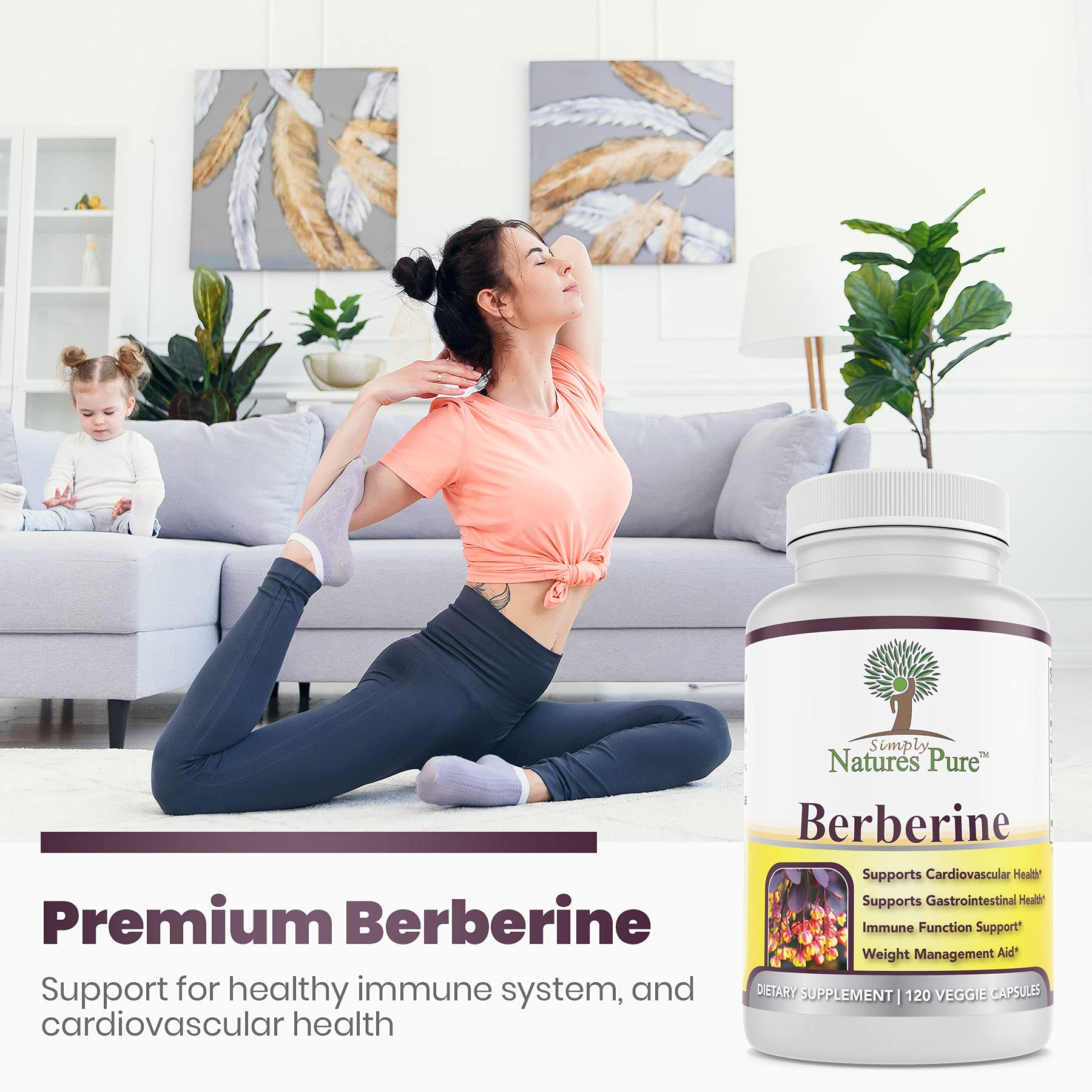Simply Natures Pure Premium Berberine HCl 500mg - 120 Capsules - Cardiovascular Gastrointestinal Immune Support - Chromium Cinnamon - Medaid International