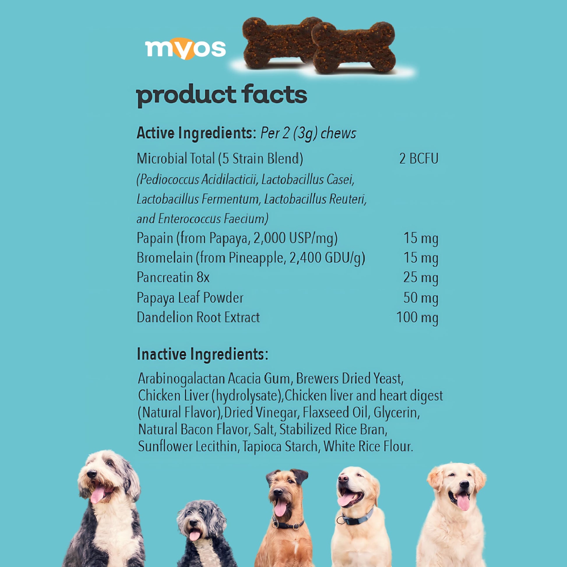 MYOS Probiotic Chew for Dogs - Daily Digestive Support, Promotes Complete Gut Health, Aids Digestion, Enhances Nutrient Absorption, Supports Healthy Stool - All-in-One Chewable Supplement - Medaid International