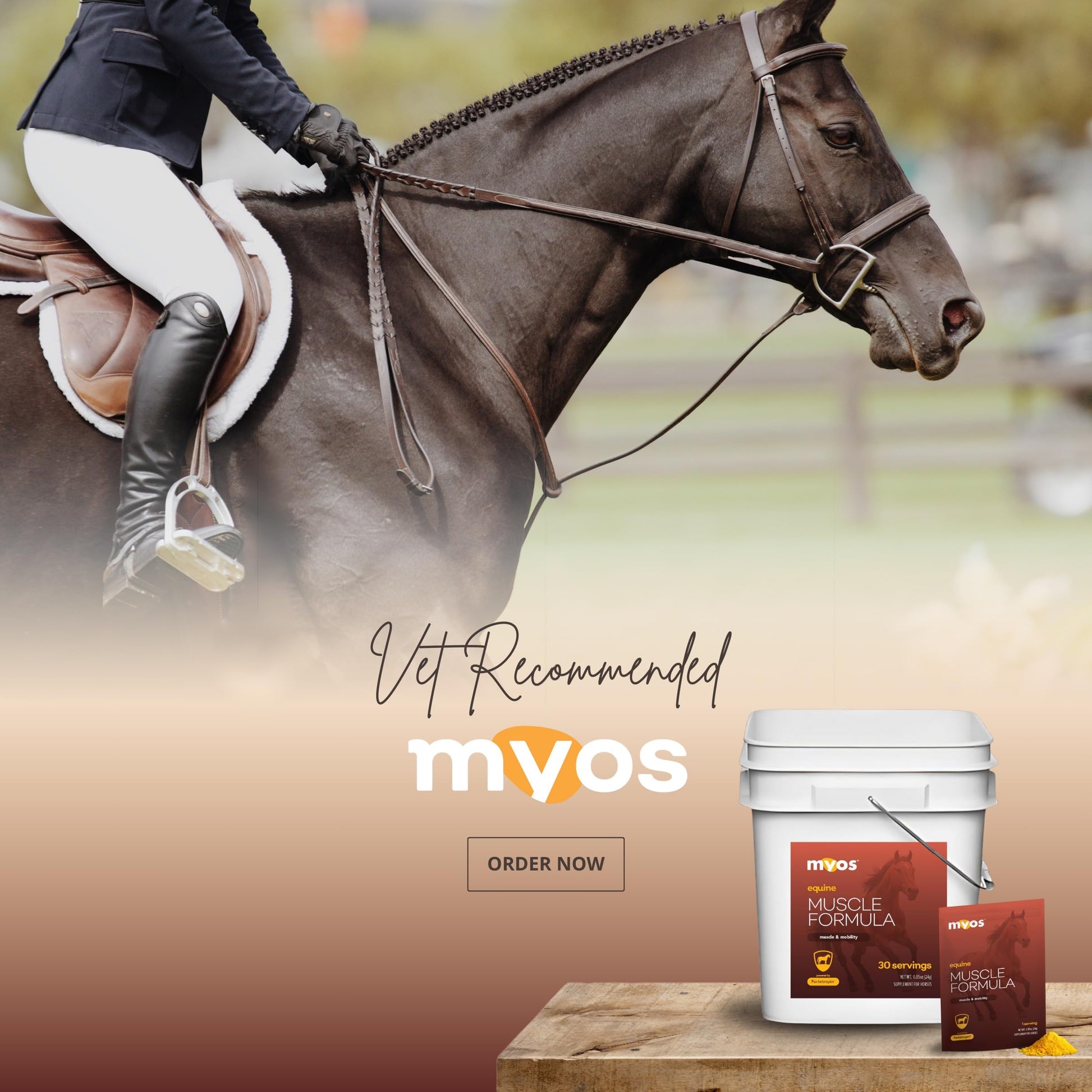MYOS Equine Muscle Formula - 30 Servings Bucket with Individual Serving Paks - Medaid International