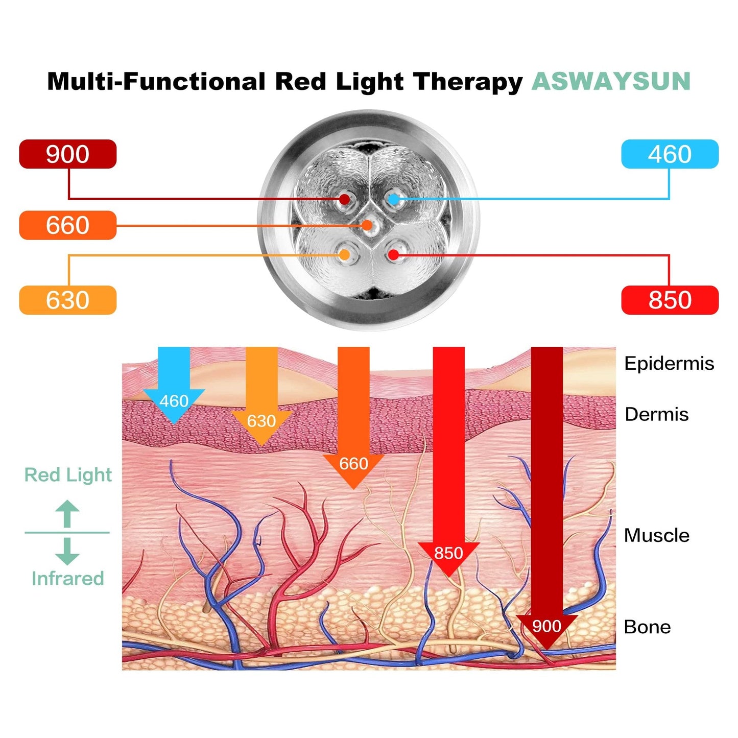 Infrared Red Light Therapy Device for Joints & Muscles Pain Relief, 460:630:660:850:900nm Cold Sore Canker Fever Treat, Portable Near Infrared Wand for Face & Body Mouth Nose Effective 2 in 1 Modes - Medaid International