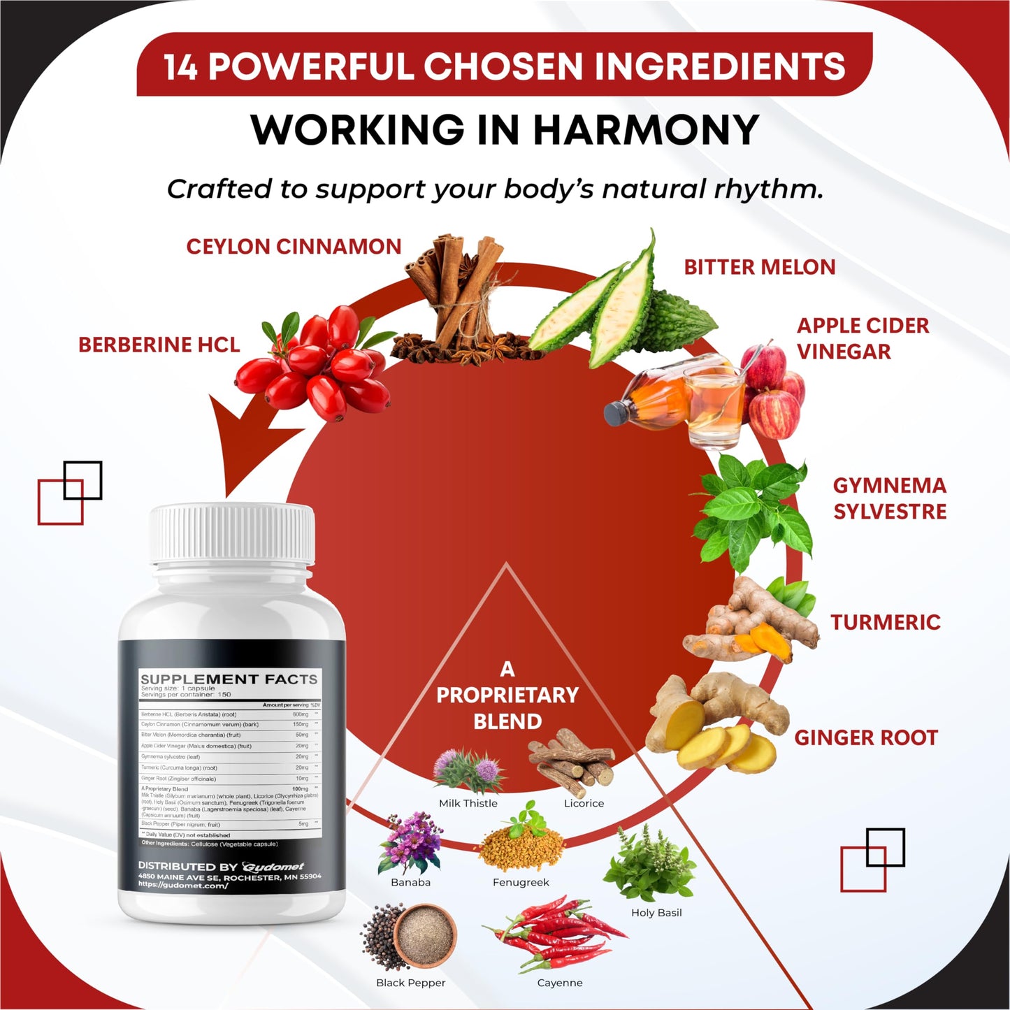 Berberine Ceylon Cinnamon - All-in-1 Supplement with Bitter Melon AVG Gymnema sylvestre Turmeric Milk Thistle Licorice Holy Basil Fenugreek Banaba - Medaid International