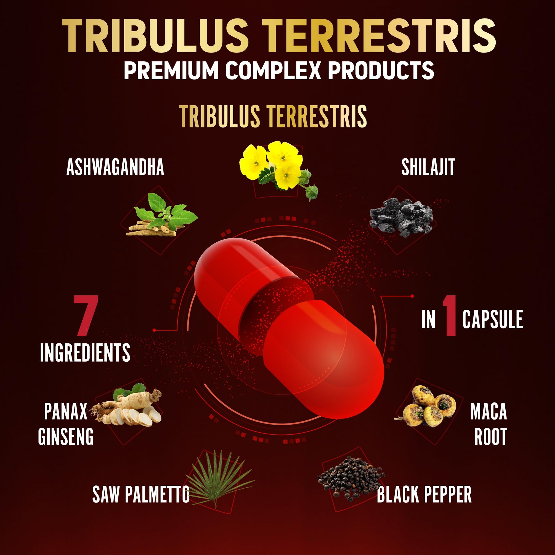 Tribulus Terrestris Capsules with Ashwagndha, Panax Ginseng, Saw Palmetto, Maca, Shilajit - 90 Capsules - 3 Months Supply - Medaid International