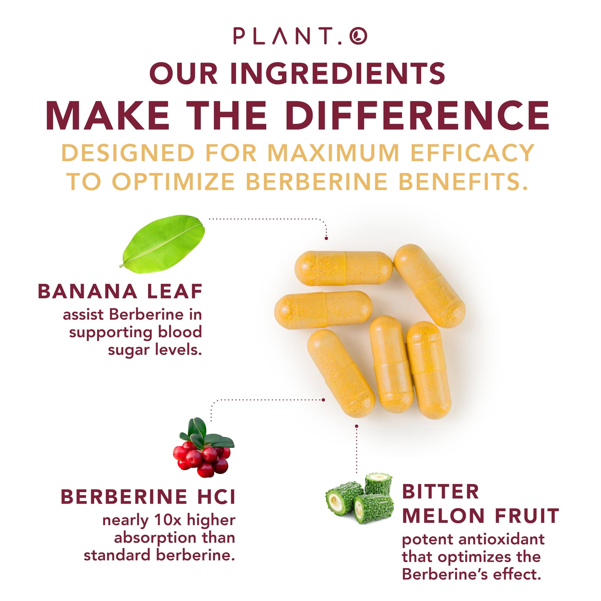 PLANT.O NUTRITION Berberine Supplement - 10xHigher Absorption Berberine HCI Complex with Bitter Lemon & Banaba Leaf - Cholesterol & Metabolic Clinically Researched Support - 60 Capsules Non-GMO - Medaid International
