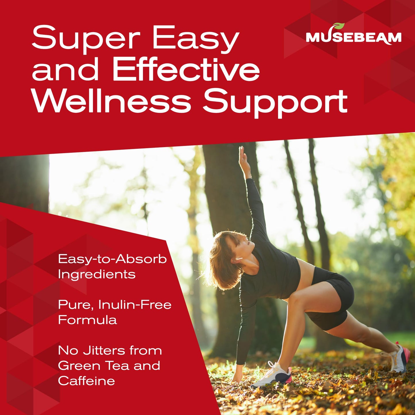 MuseBeam Berberine HCL Magnesium Glycinate Supplement - 1800mg High Purity Capsules with Ceylon Cinnamon - Vegan Friendly Non-GMO Gluten-Free Sugar Free Pill for Men Women - Medaid International