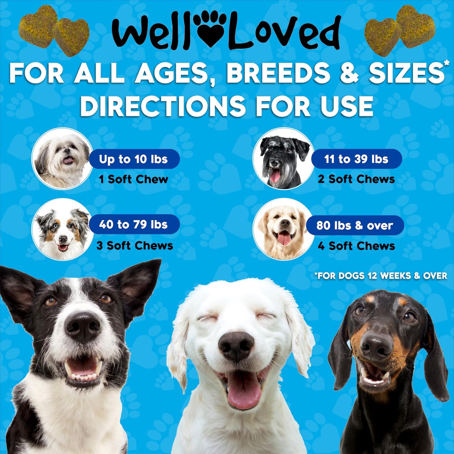 Well Loved Glucosamine for Dogs - Joint Supplement for Dogs, Made in USA, Vet Developed, Glucosamine Chondroitin, Hip and Joint Chews with MSM, Large Breed, Pain Relief, 120 Chews