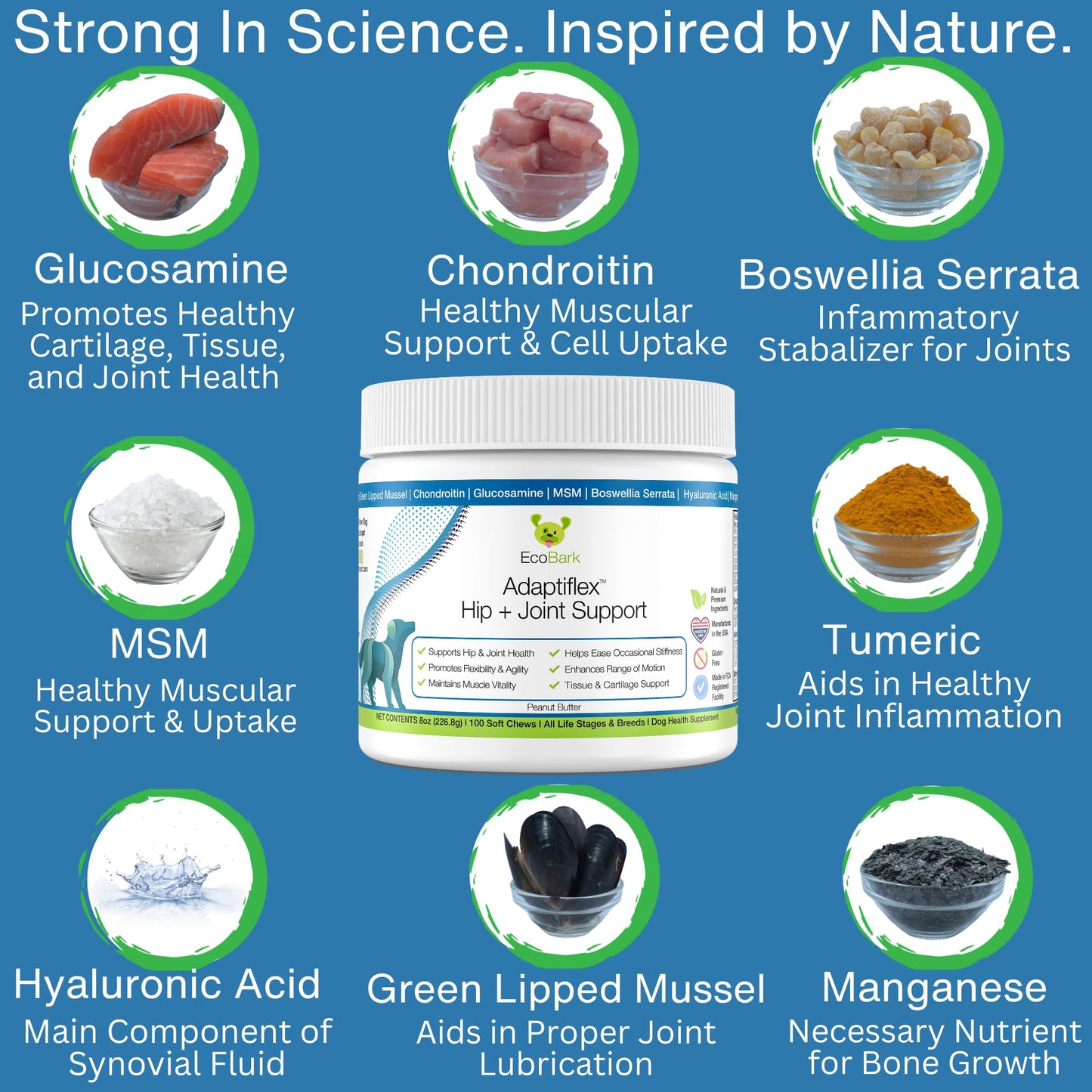 EcoBark Adaptiflex Hip and Joint Formula (Peanut Flavor)