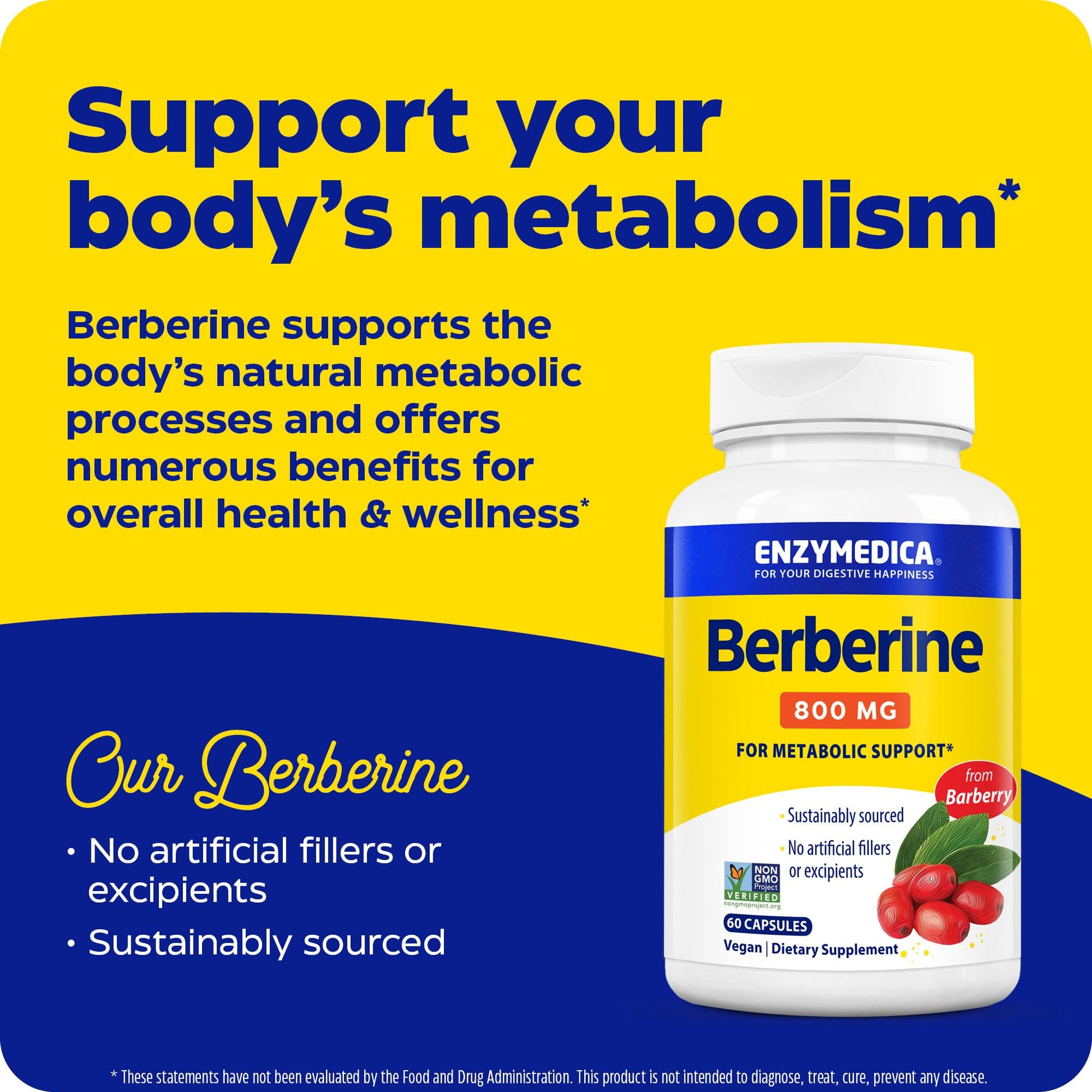 Enzymedica Berberine 800 mg – Vegan Capsules for Metabolic Support – from Sustainably Sourced Barberry – Non-GMO, Gluten-Free, No Fillers or Excipients – 60 Capsules - Medaid International