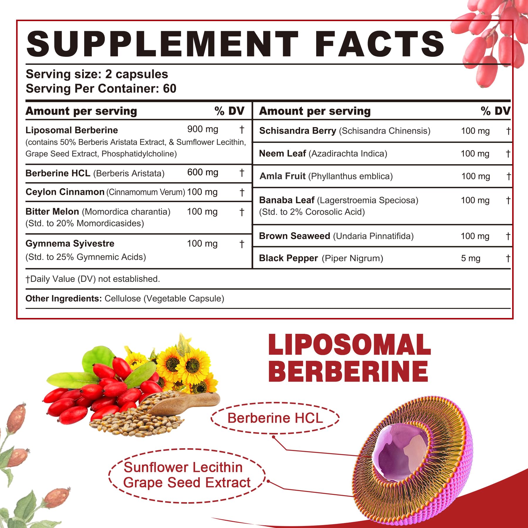 Berberine Supplement Organic 1500mg with Ceylon Cinnamon Bitter Melon, Liposomal Berberine HCL Complex Supplements, Immune & Digestive Support - Non-GMO, Organic, Vegan Berberine Capsules 120Cts - Medaid International