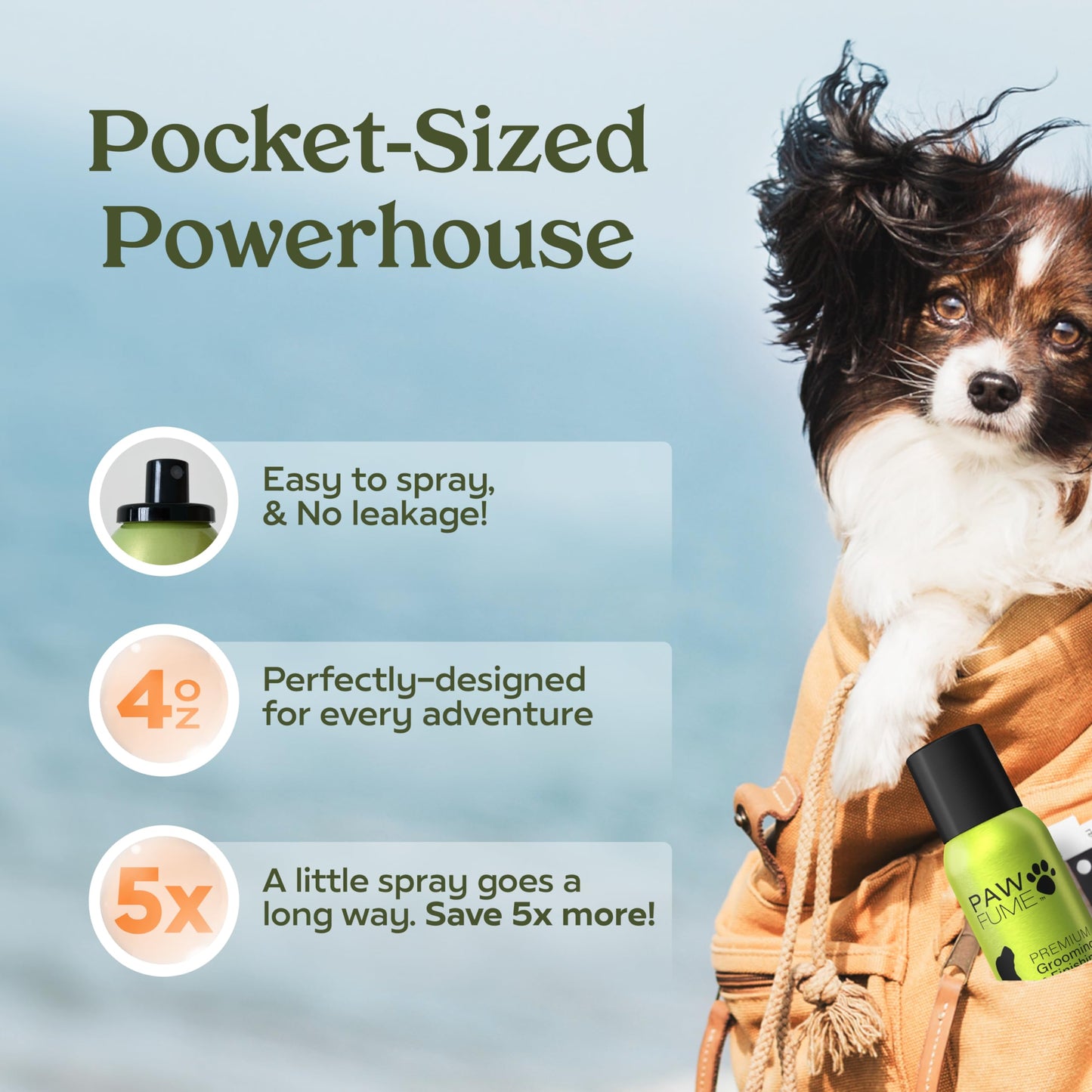 PAWFUME Dog Perfume Spray Long Lasting Scent for Grooming, Show Dog, 1-Pack – Keep Your Pup Fresh All Day – Hypoallergenic, Alcohol-Free, Detangling Formula – Moisturizing Pet Cologne Spray for Dogs - Medaid International