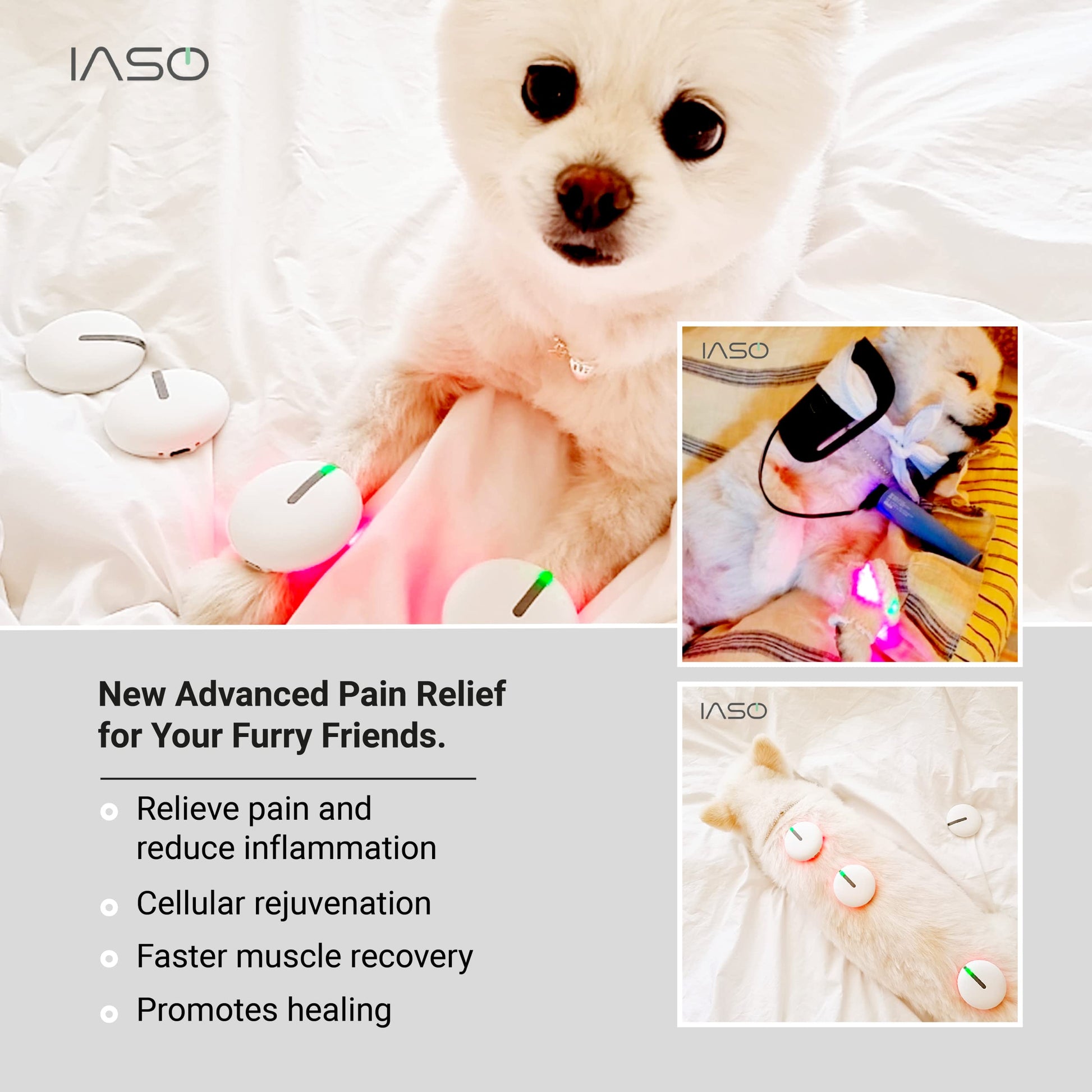 [IASO] Red Light Therapy Device and Massager- FDA-Registered, Cold Laser (Non-LED) Pain Relief for Back, Foot, Neck, Shoulders, Wrists, Knees. Wearable & Rechargeable. All Inclusive Package (Single) - Medaid International