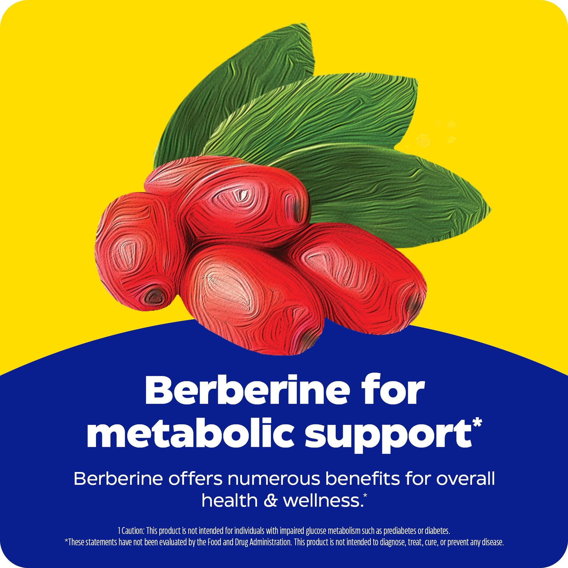 Enzymedica Berberine 800 mg – Vegan Capsules for Metabolic Support – from Sustainably Sourced Barberry – Non-GMO, Gluten-Free, No Fillers or Excipients – 60 Capsules - Medaid International