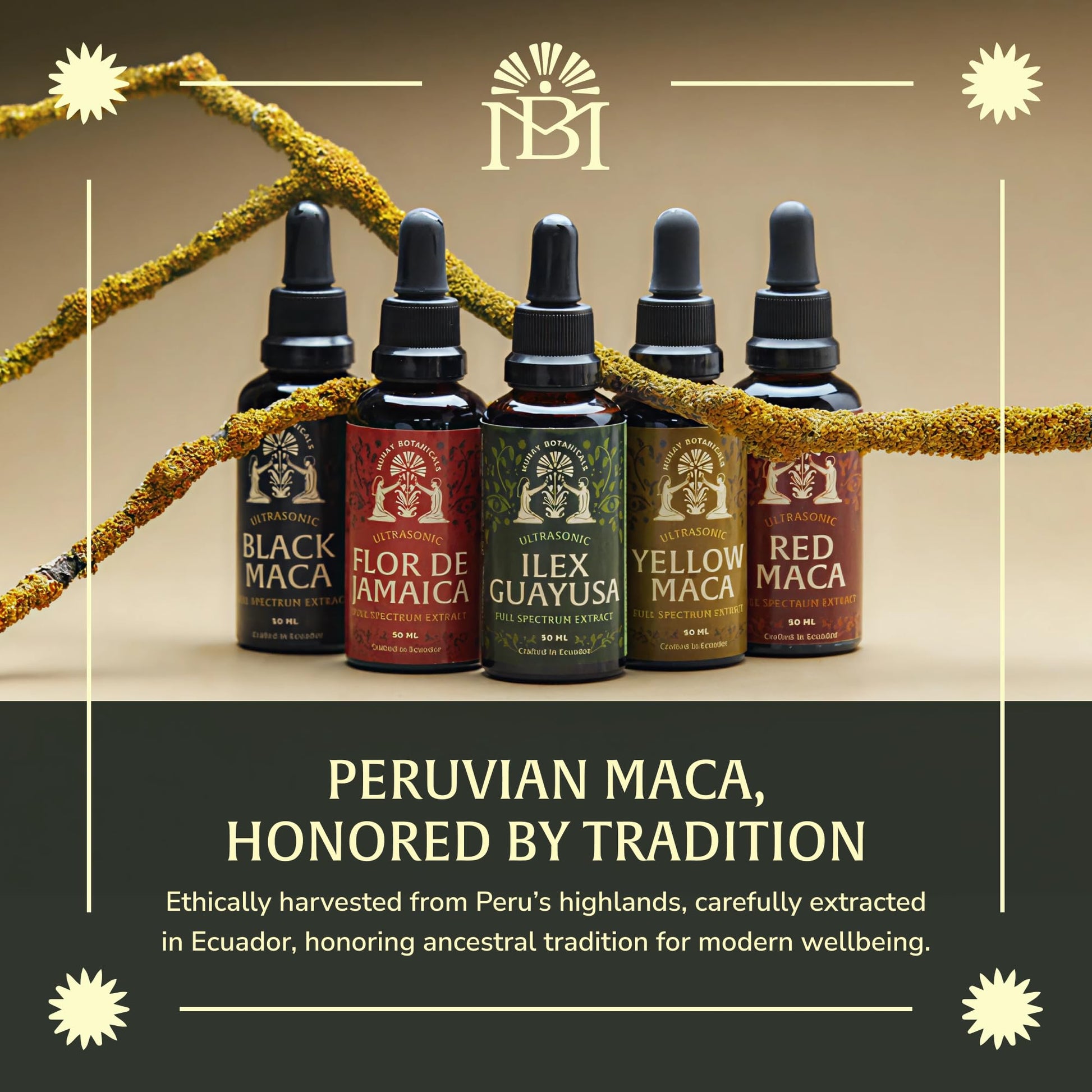 Munay Botanicals Black Maca Extract 50ml – Andean Plant-Based Ingredient for Endurance, Focus & Vitality | Traditionally Used for Generations | Vegan, Non-GMO Clean Maca Root Drops – 50 Servings - Medaid International