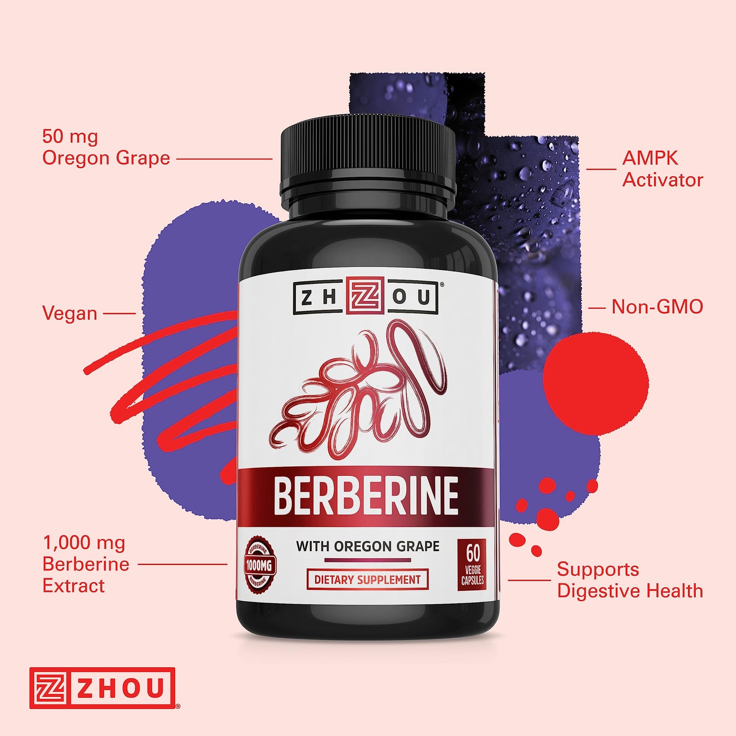 Zhou Berberine with Oregon Grape - Berberine Supplement for Women & Men, Gut Health, Metabolic Function, Berberine 1000mg Per Capsule - 60 Vegetarian Capsules (Pack of 1) - Medaid International