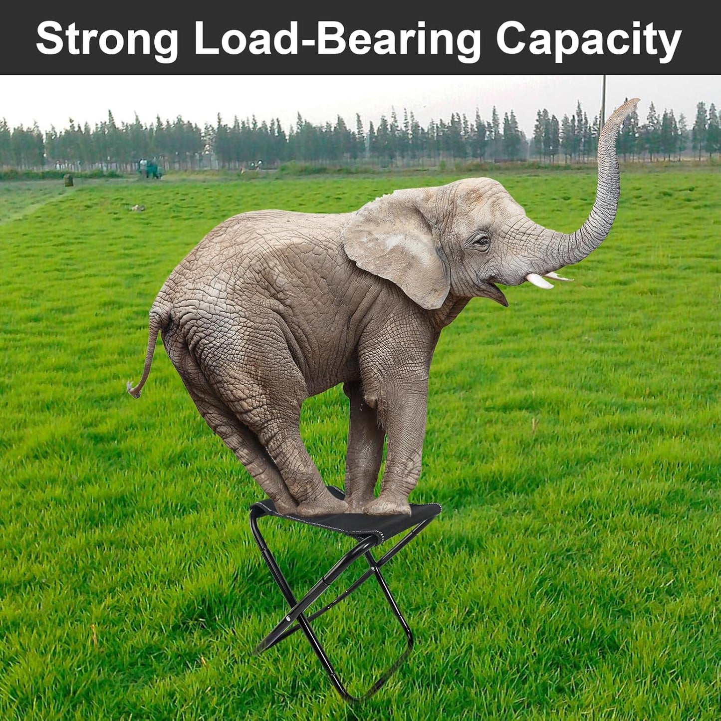 Portable Folding Stool